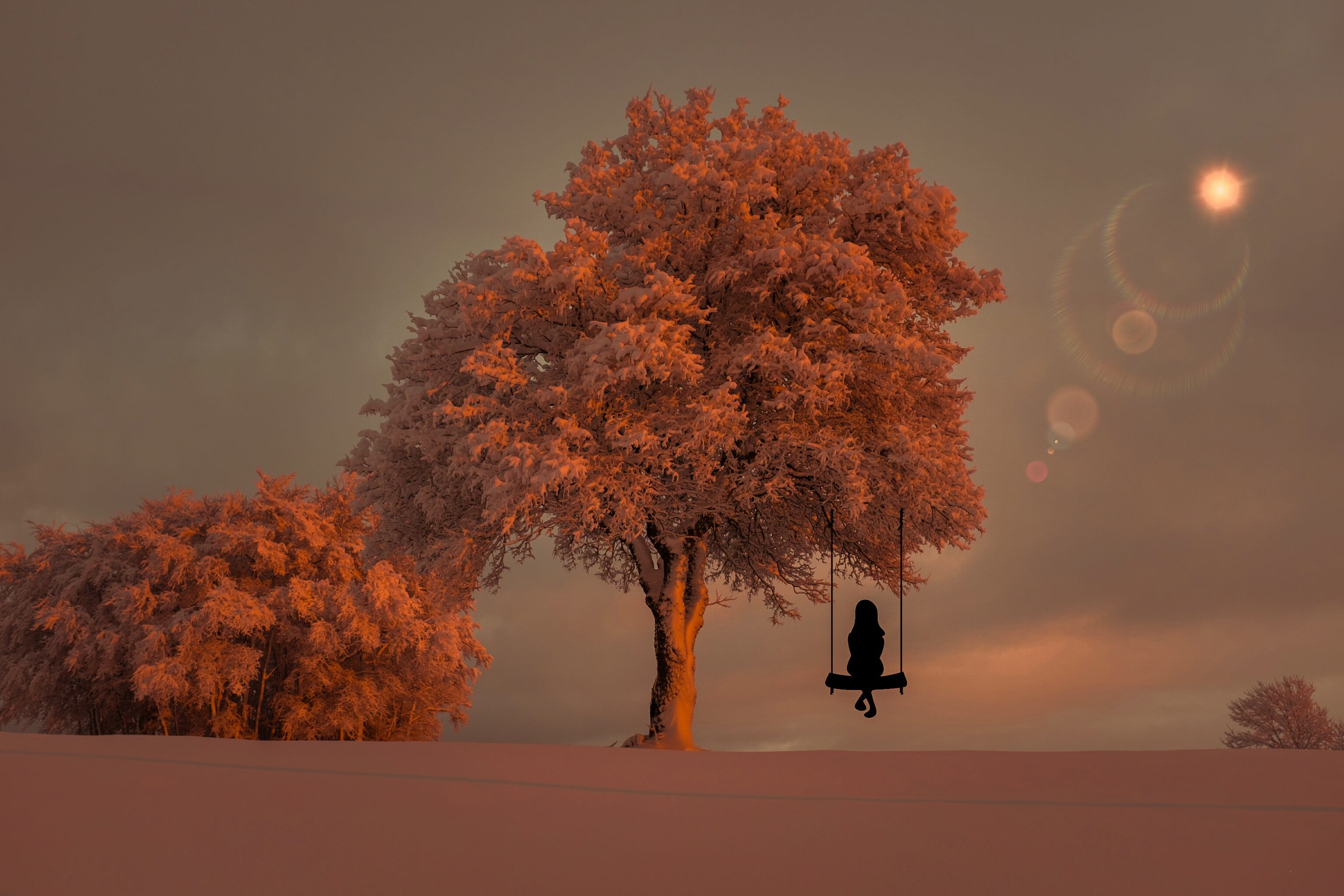 silhouette photo of person on swing under tree, lady, woman, girl