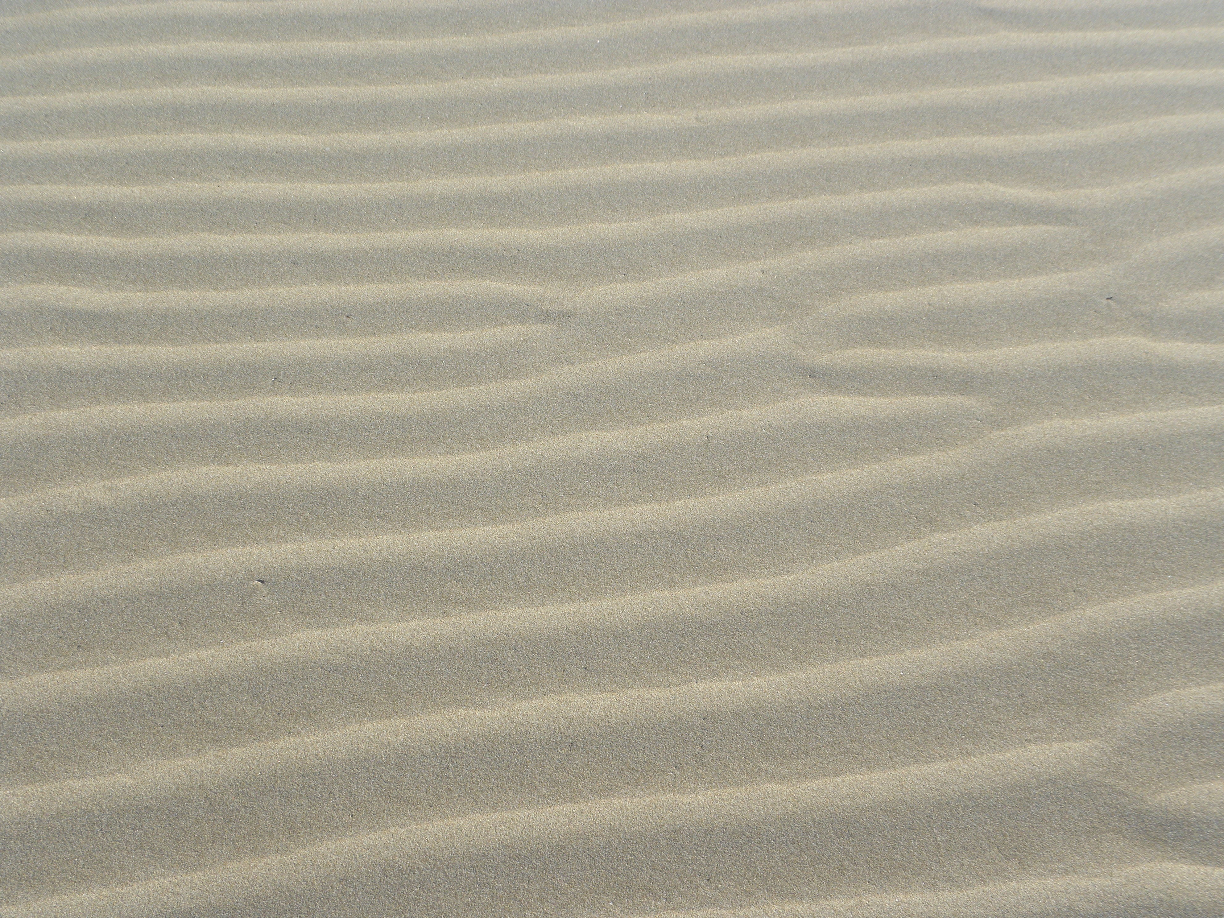 sand, beach, wave, land, backgrounds, pattern, wave pattern