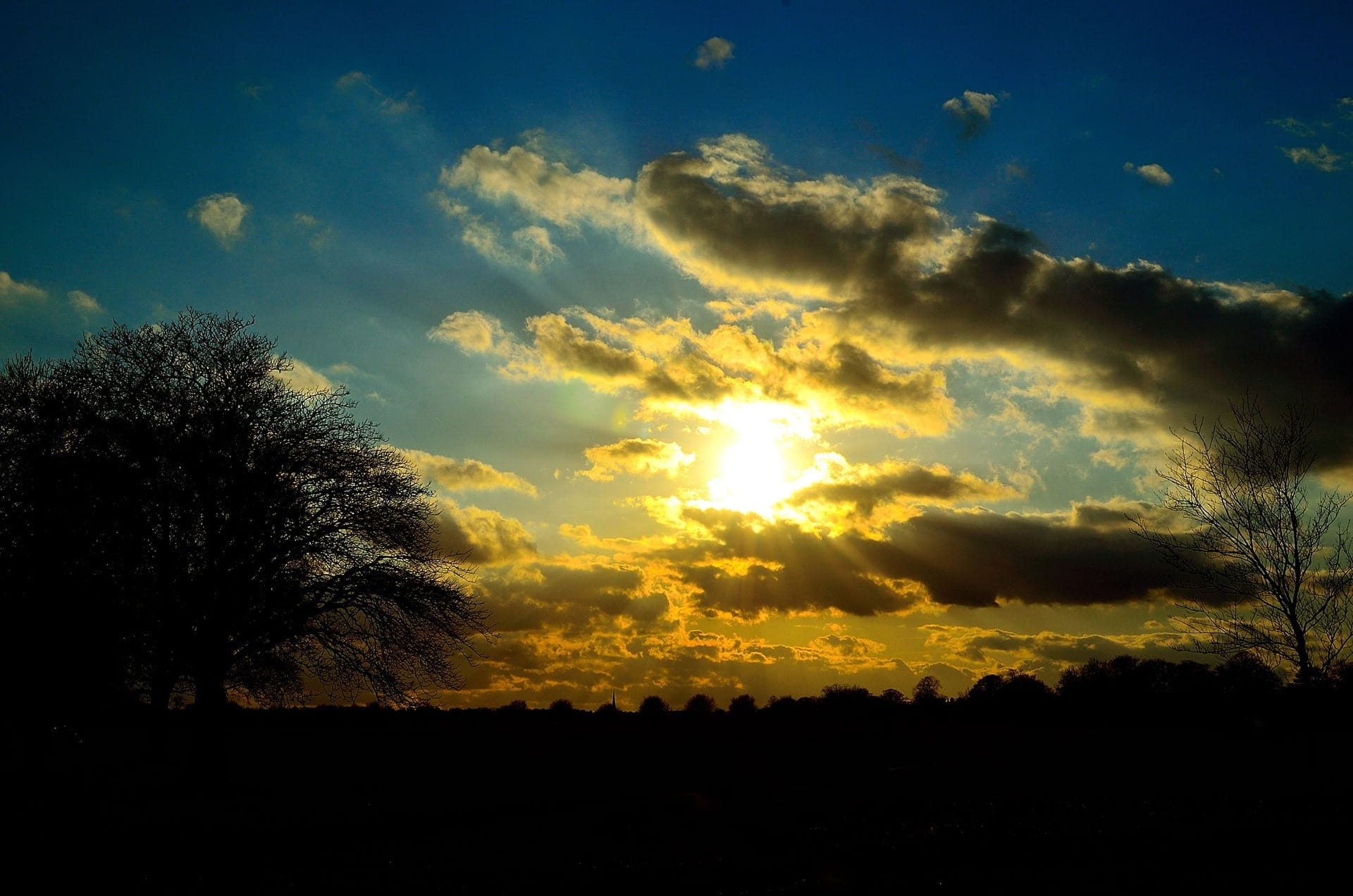 Evening, Clouds, Sun, Tree, blue, sky, card, background, night