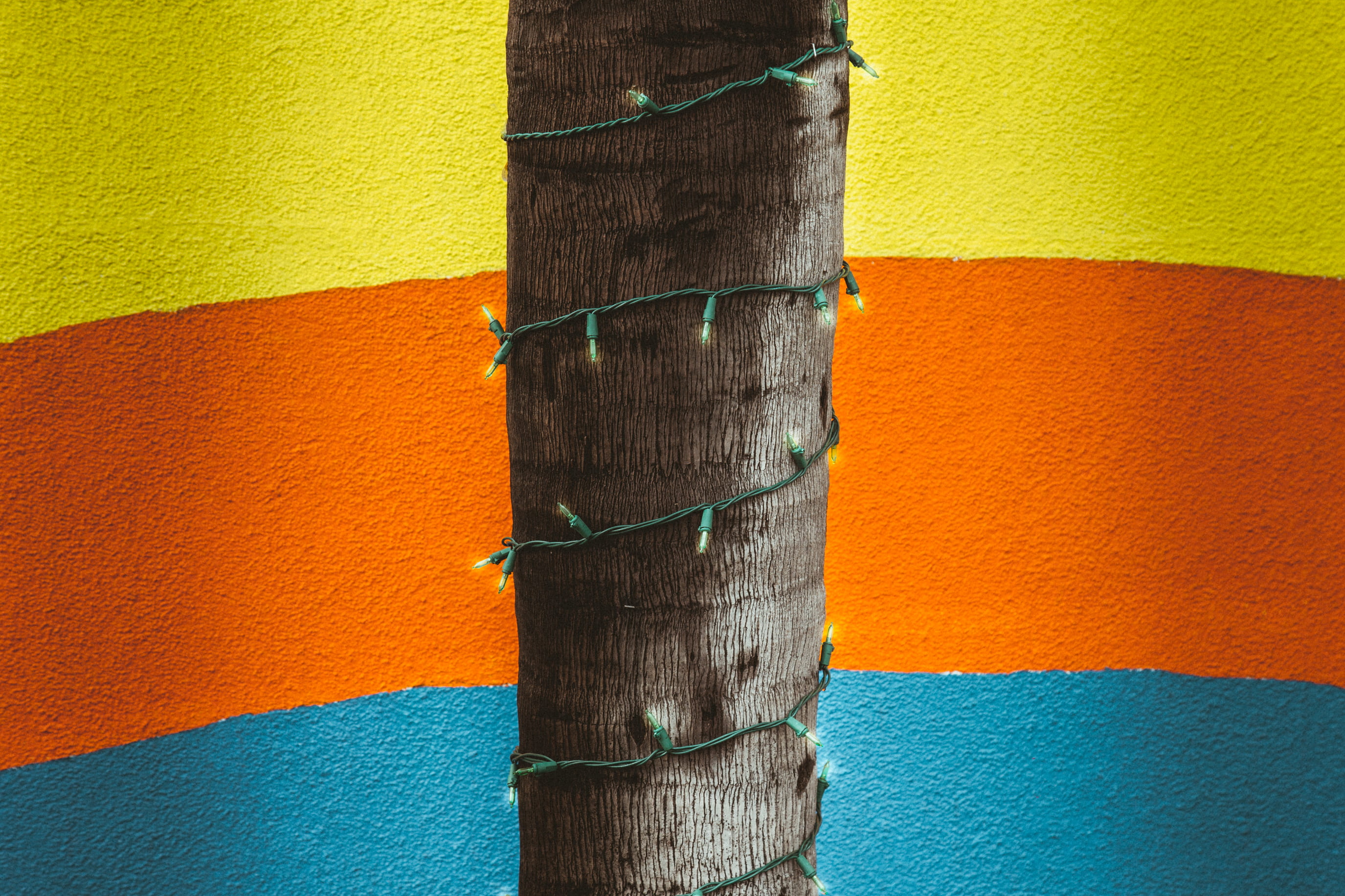 green string light wrap on brown tree, yellow and green string lights rolled on tree