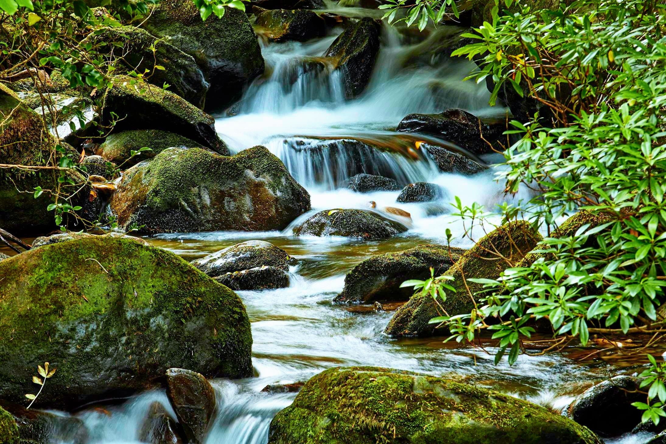 water, nature, killarney, rock, flowing water, rock - object