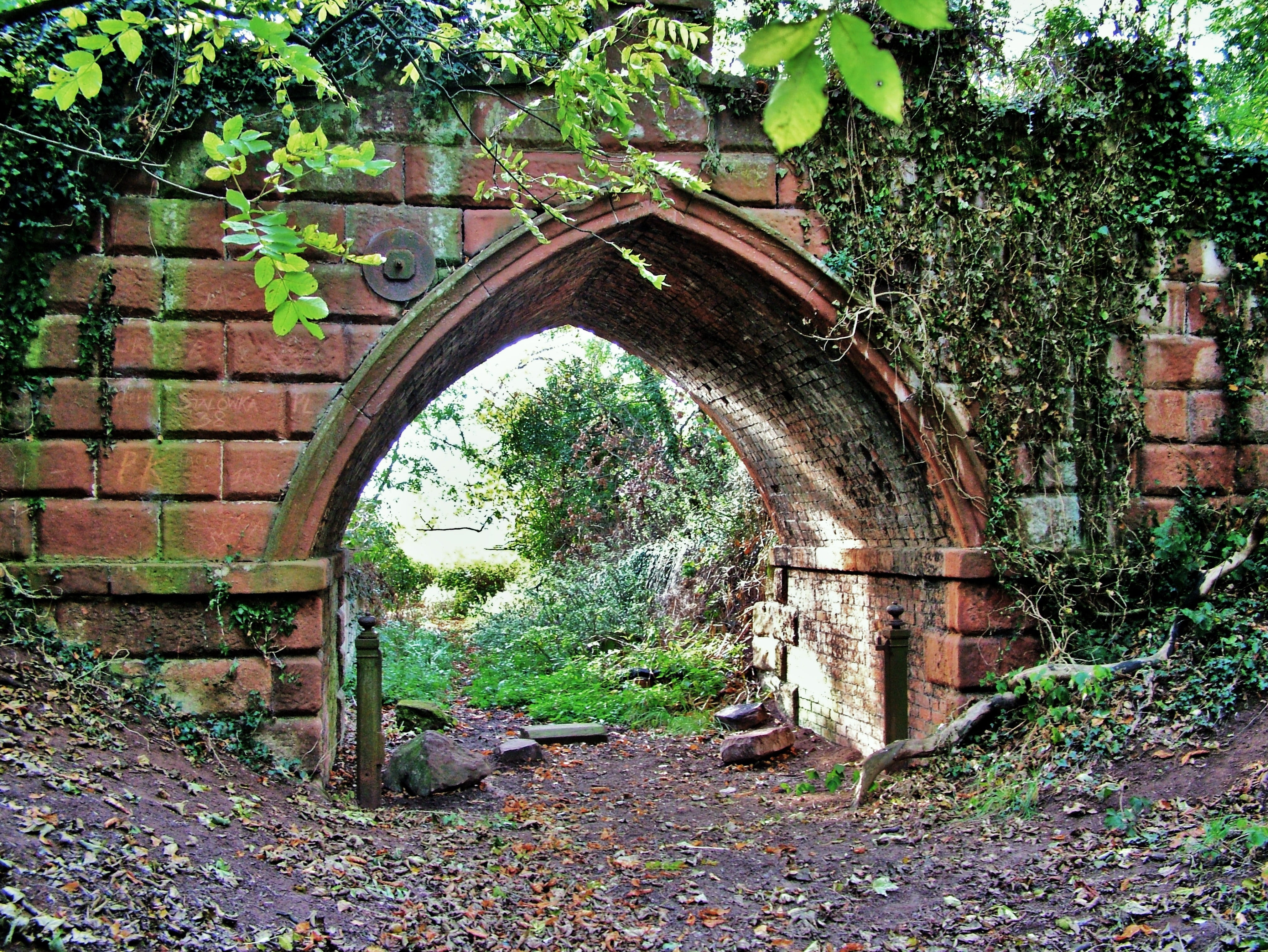 brown brick hole surrounded by green plants, arch, gothic, architecture