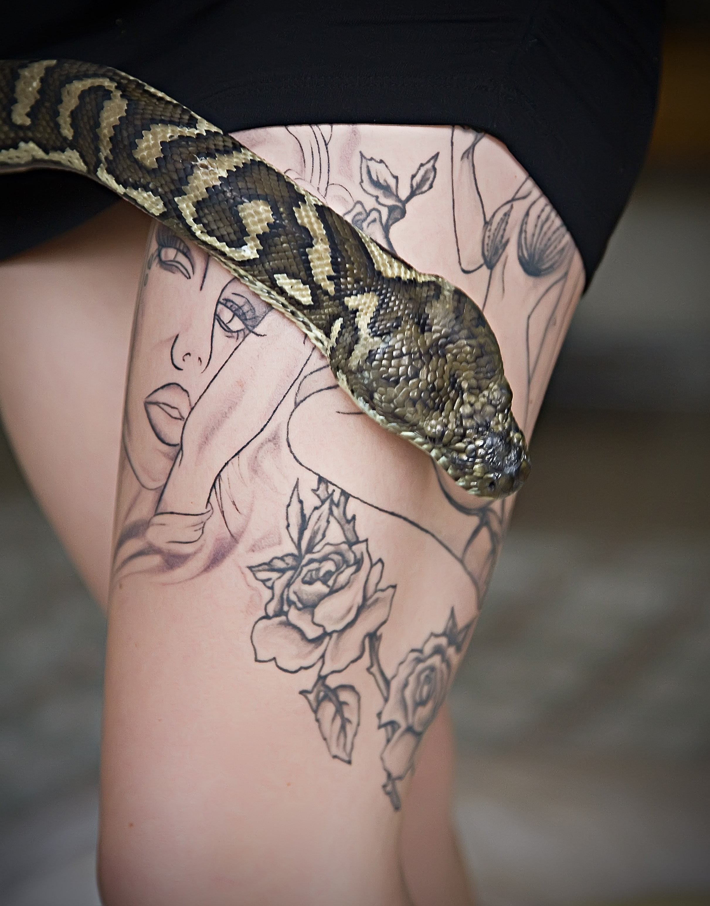 tattoo, snake, python, pet snake, pythoninae, animal, one person