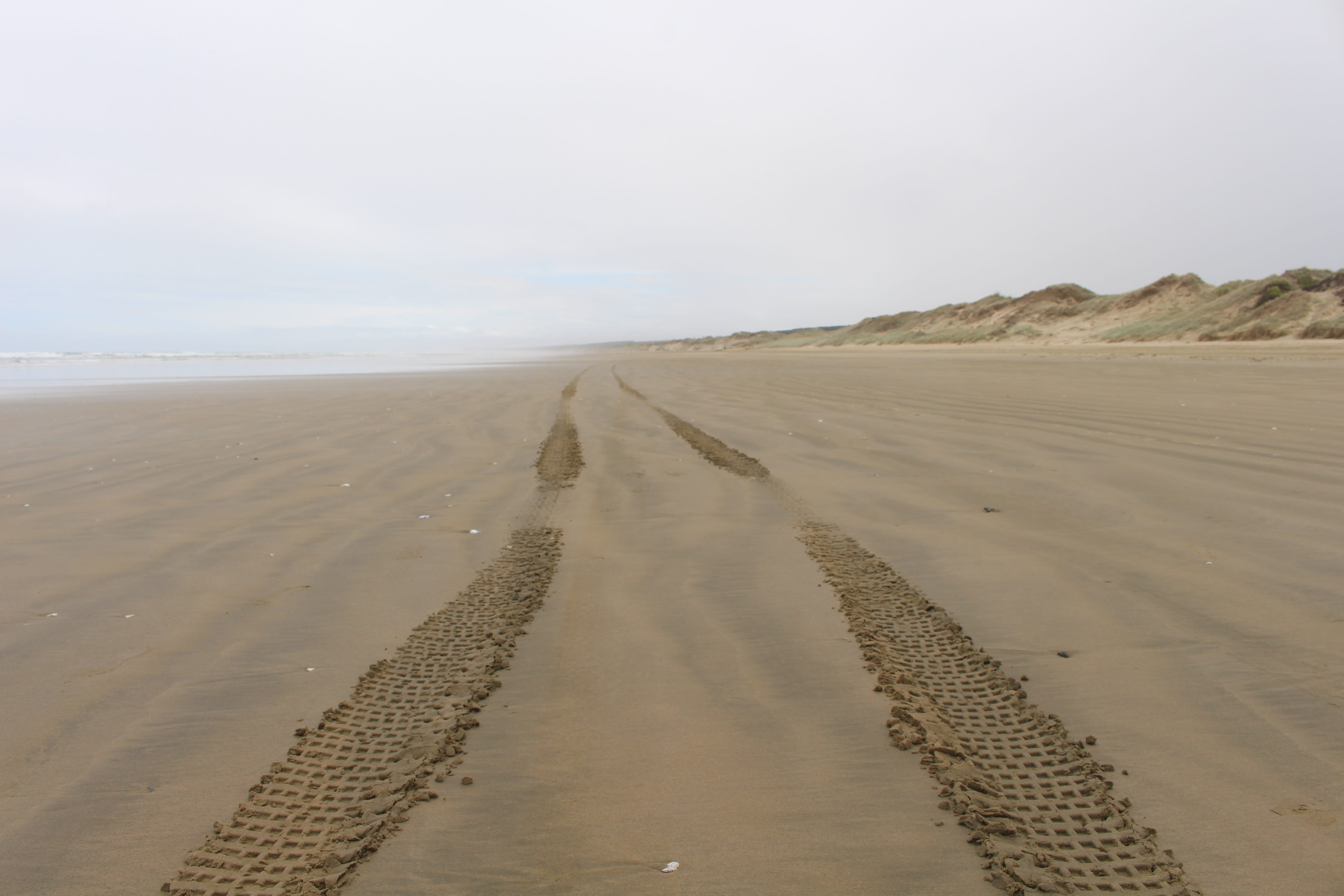 Ninety Mile Beach, New Zealand, cape reinga, passable, fog, sand dunes