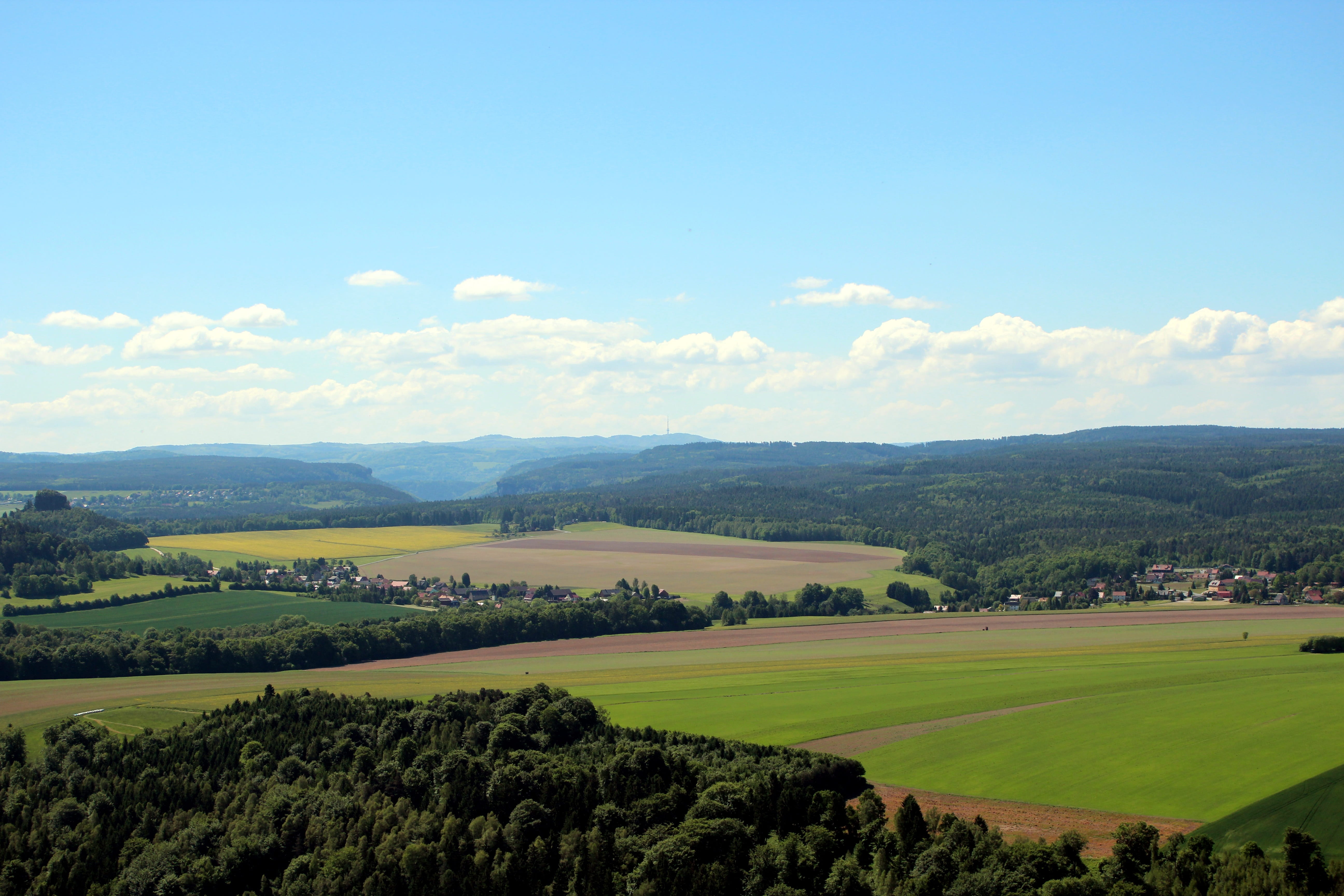 Fields, View, Landscape, Nature, sky, meadow, forest, green