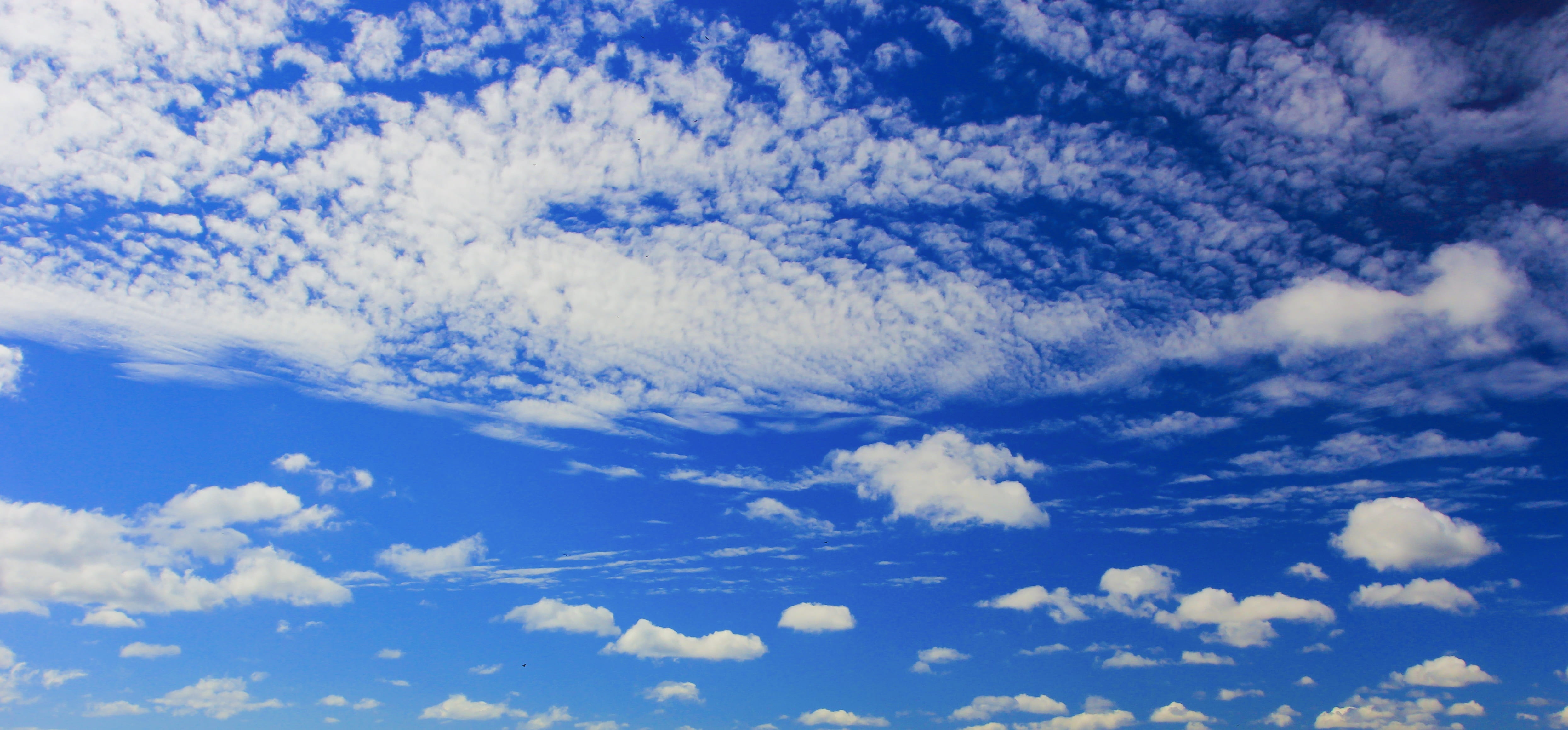 white clouds and blue sky, cloud formation, cloud - sky, cloudscape