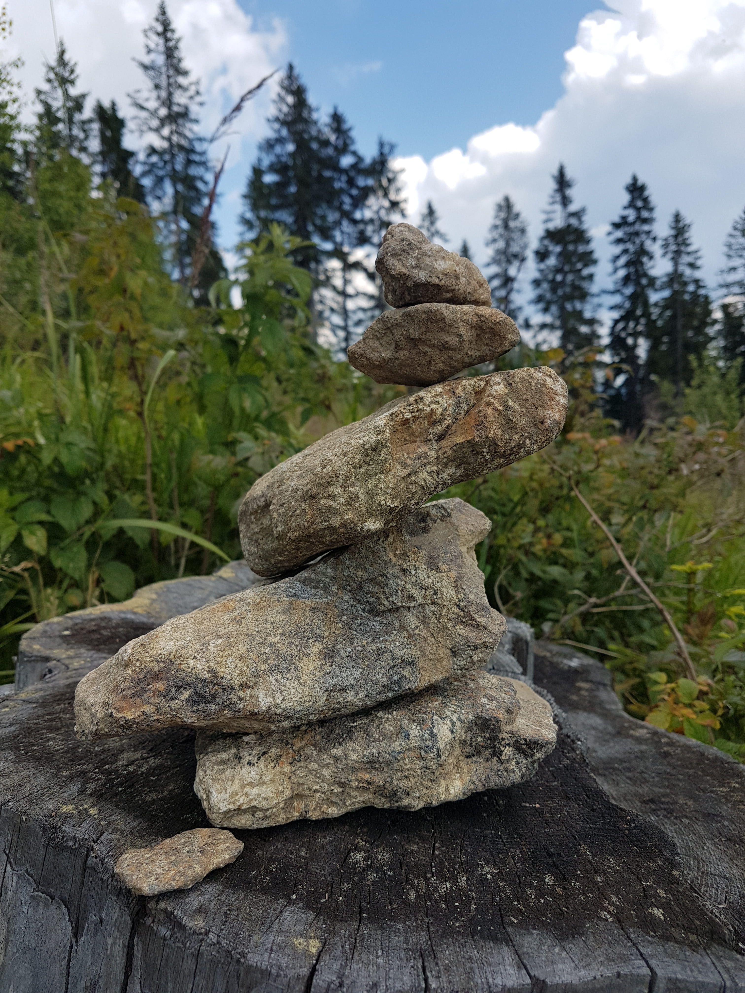 stone, nature, stack, art, rock, solid, tree, rock - object