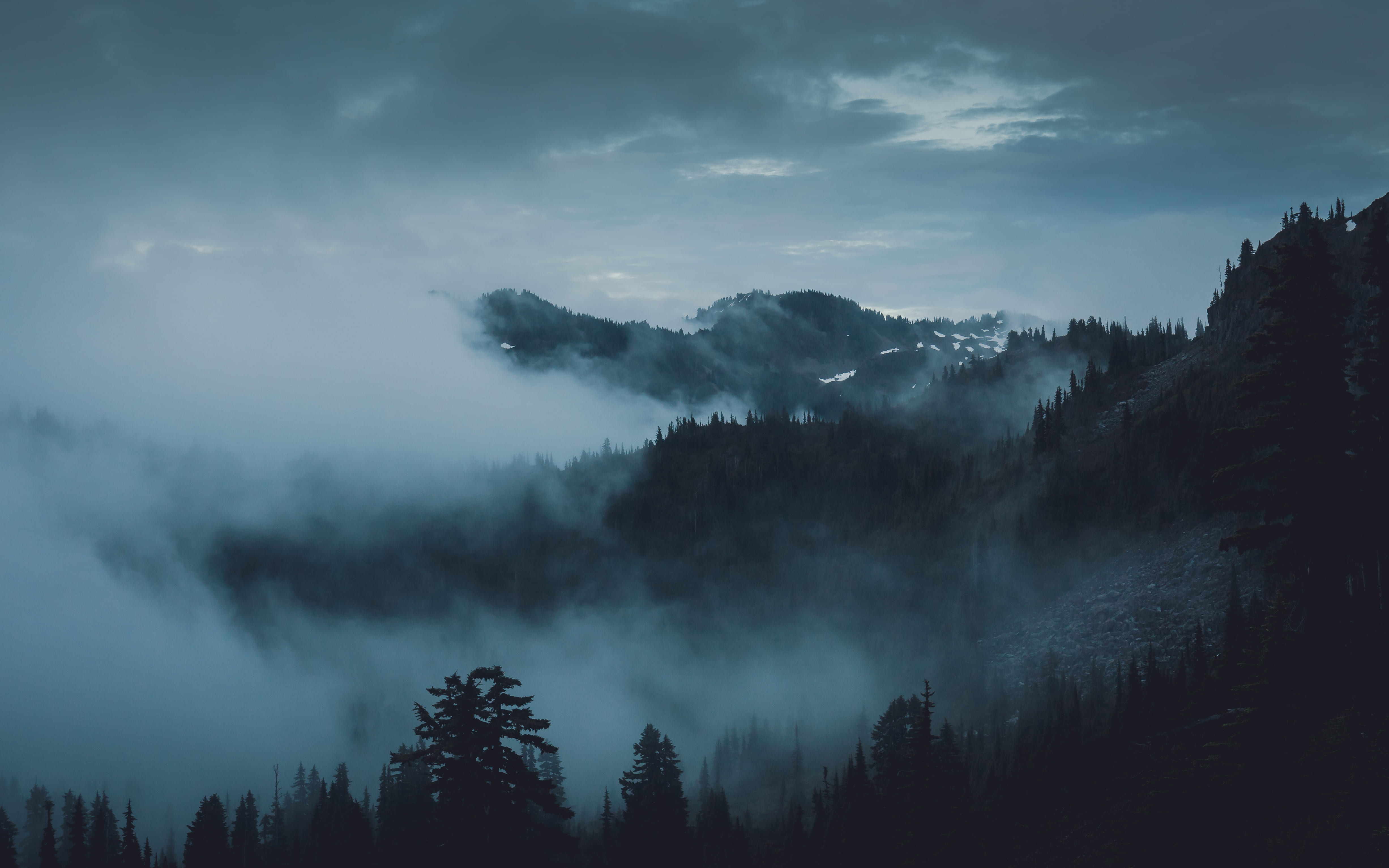 Free download | HD wallpaper: trees covered by snow, mist, fog 