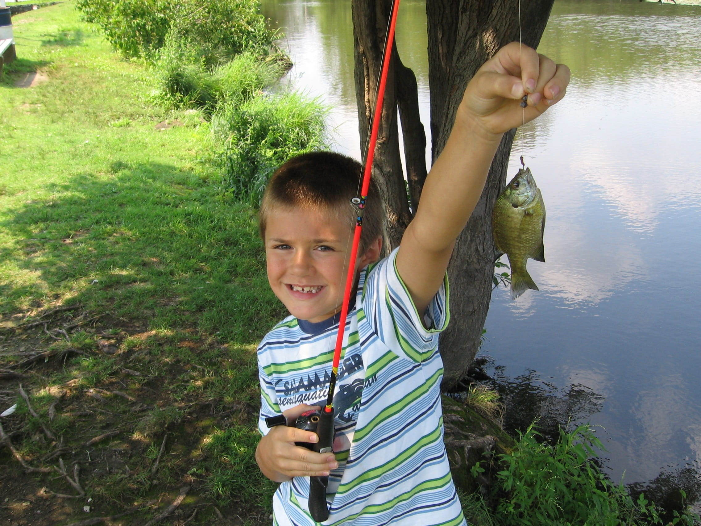 fishing, boy, fishing pole, pond, catch, sport, rod, angler