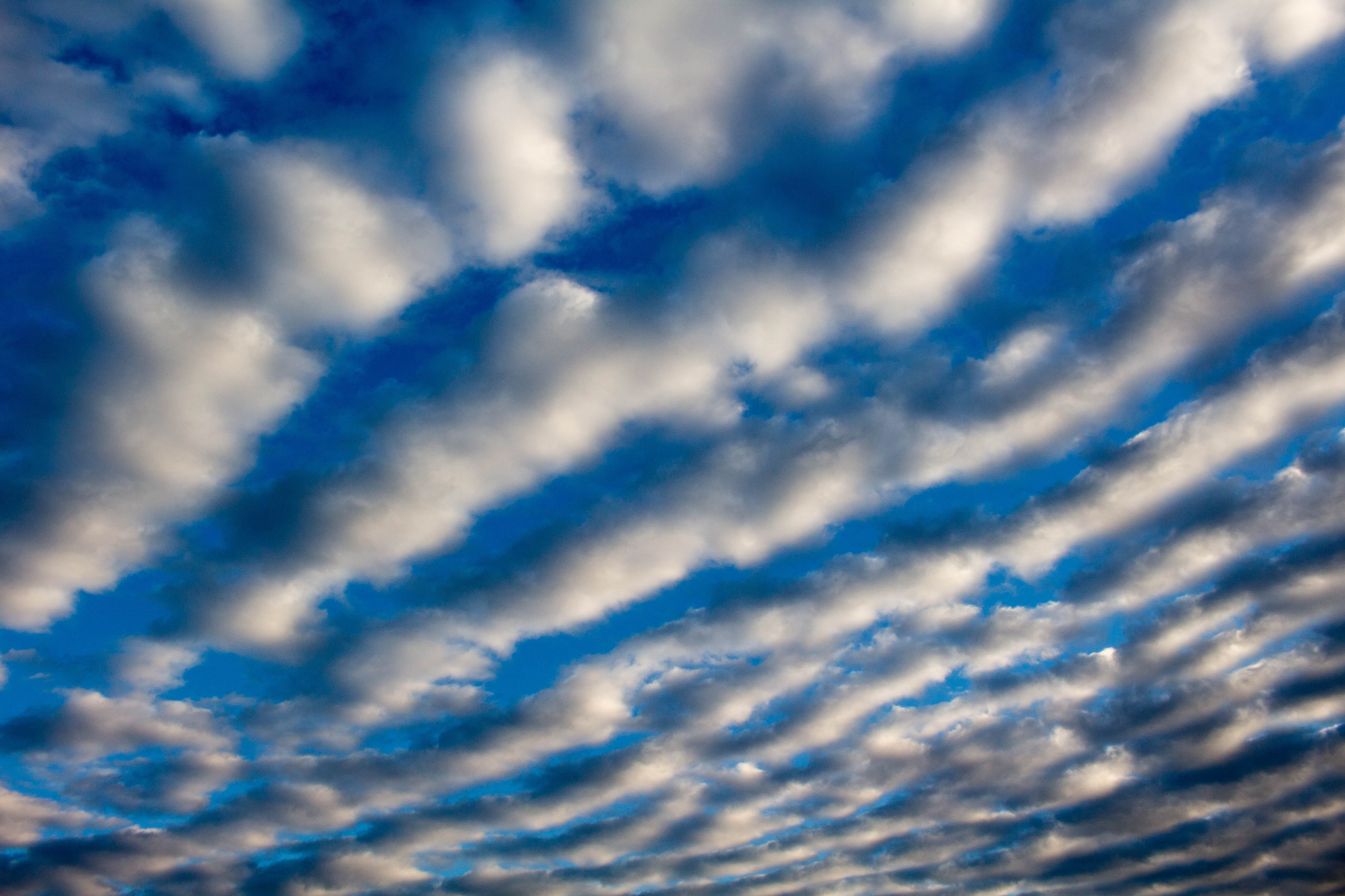 clouds, billowy, blue, sky, white, cloud - sky, backgrounds
