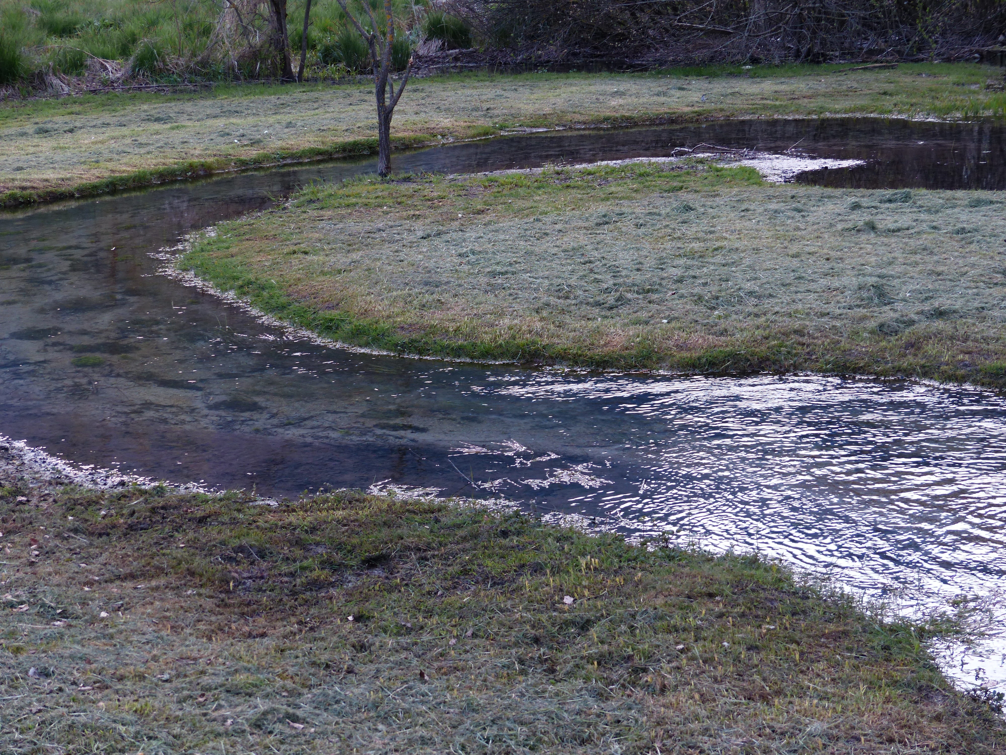 Water, Meander, River, Loop, river loop, of course, biotope