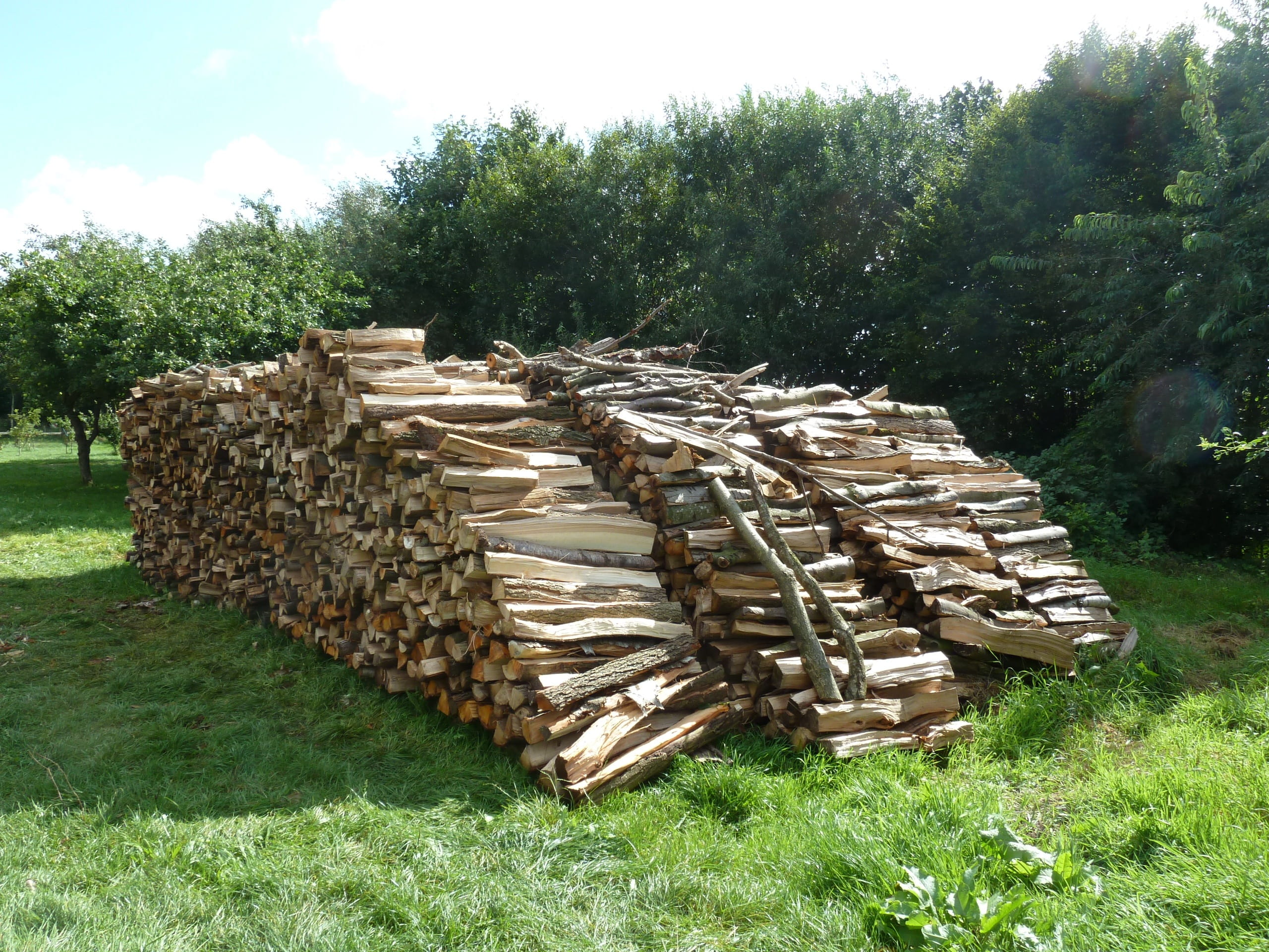 Wood, Firewood, Stack, firewood stack, stacked up, holzstapel