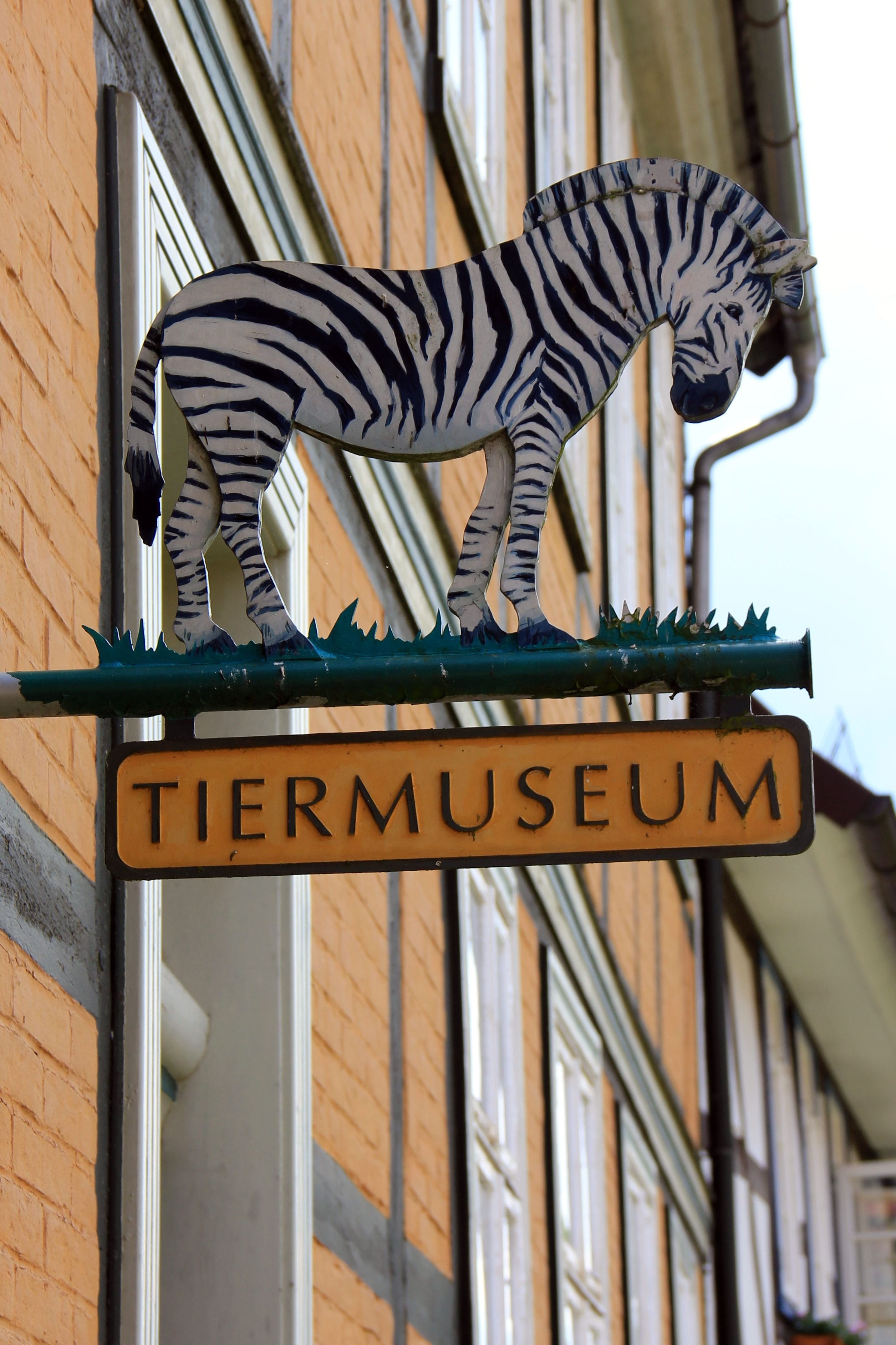 shield, info, museum, animals, zebra, alfeld, communication