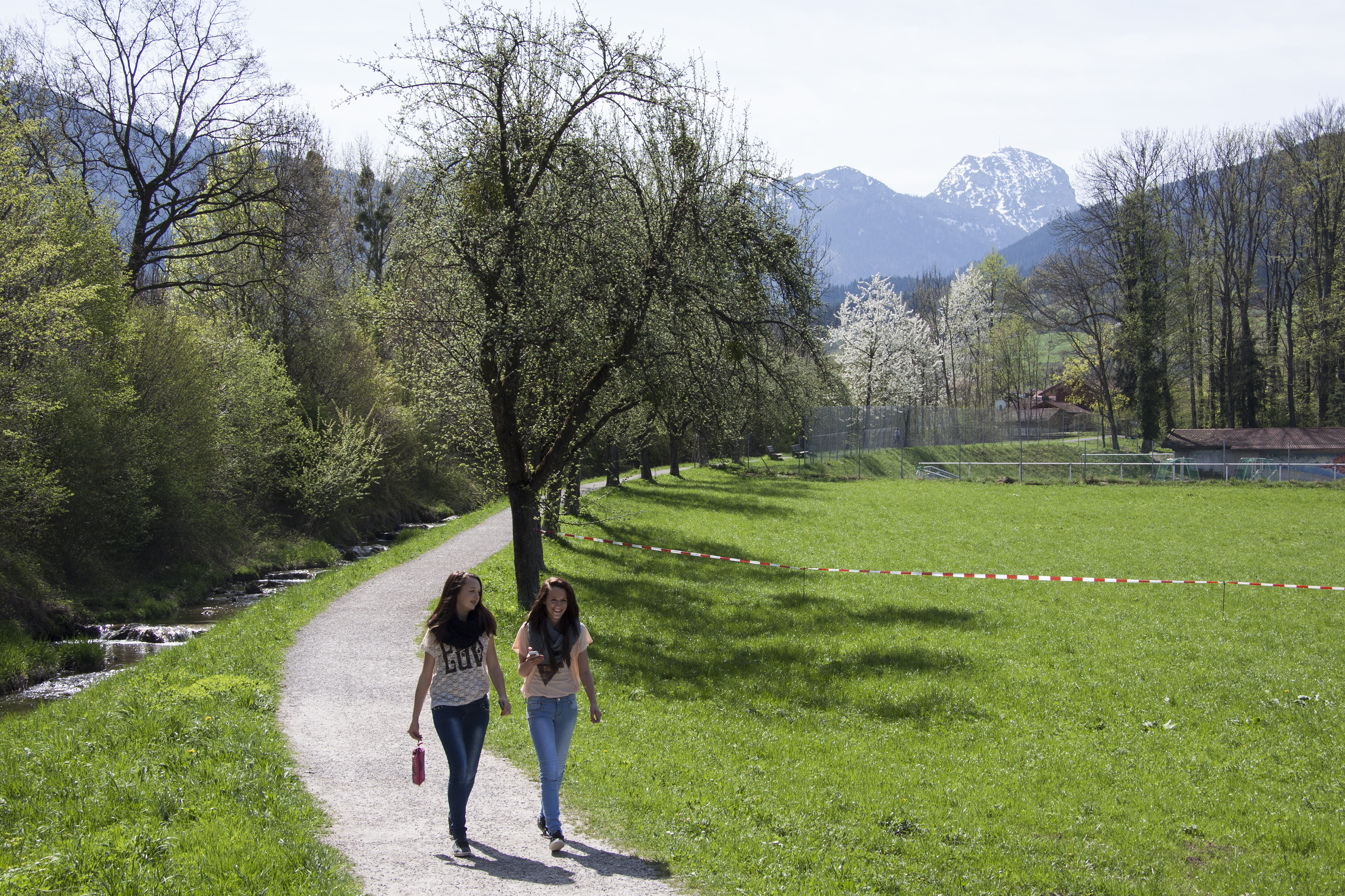 spring, sunshine, may, mountains, wendelstein, bach, trees