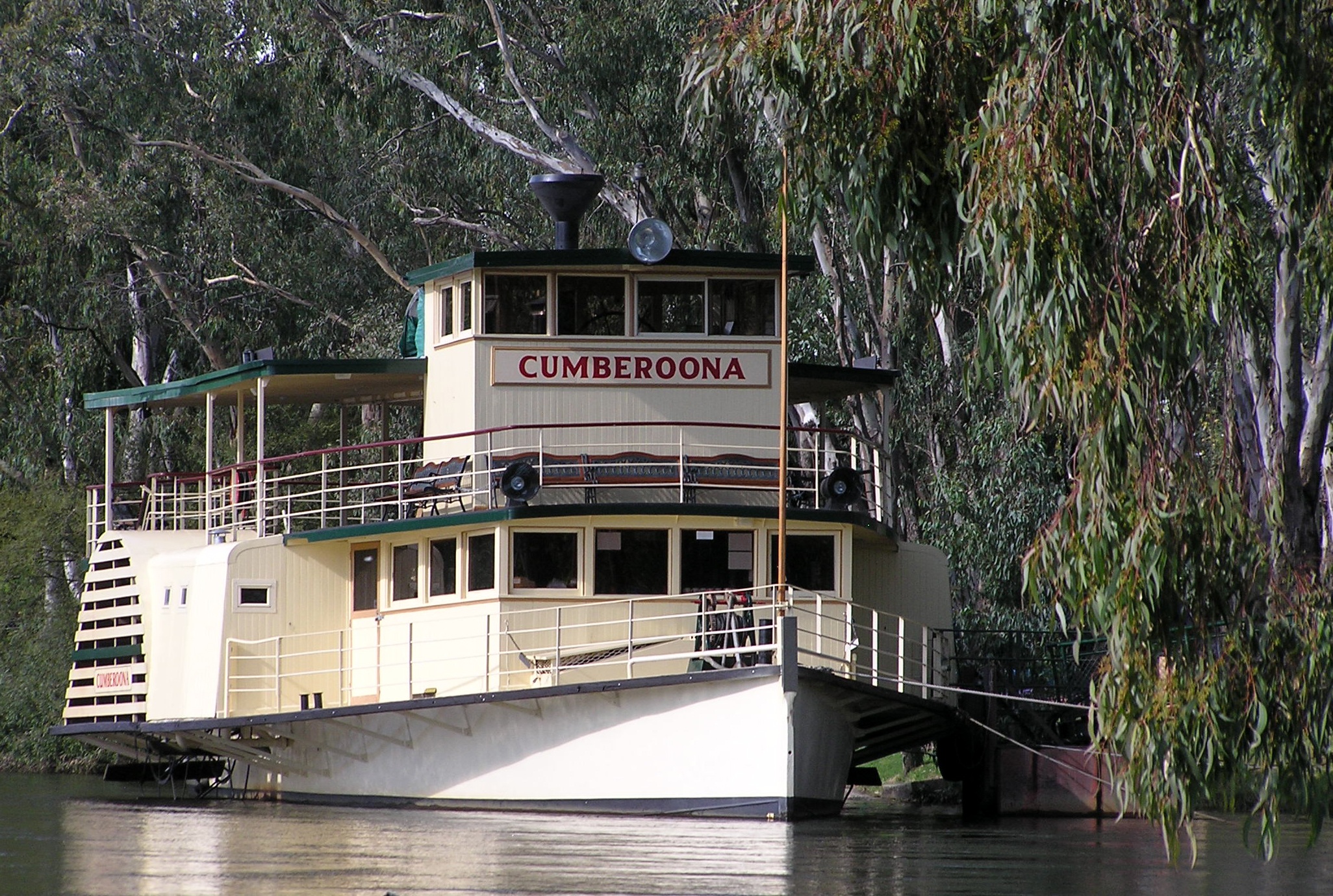 river, paddle, steamer, water, tree, plant, built structure