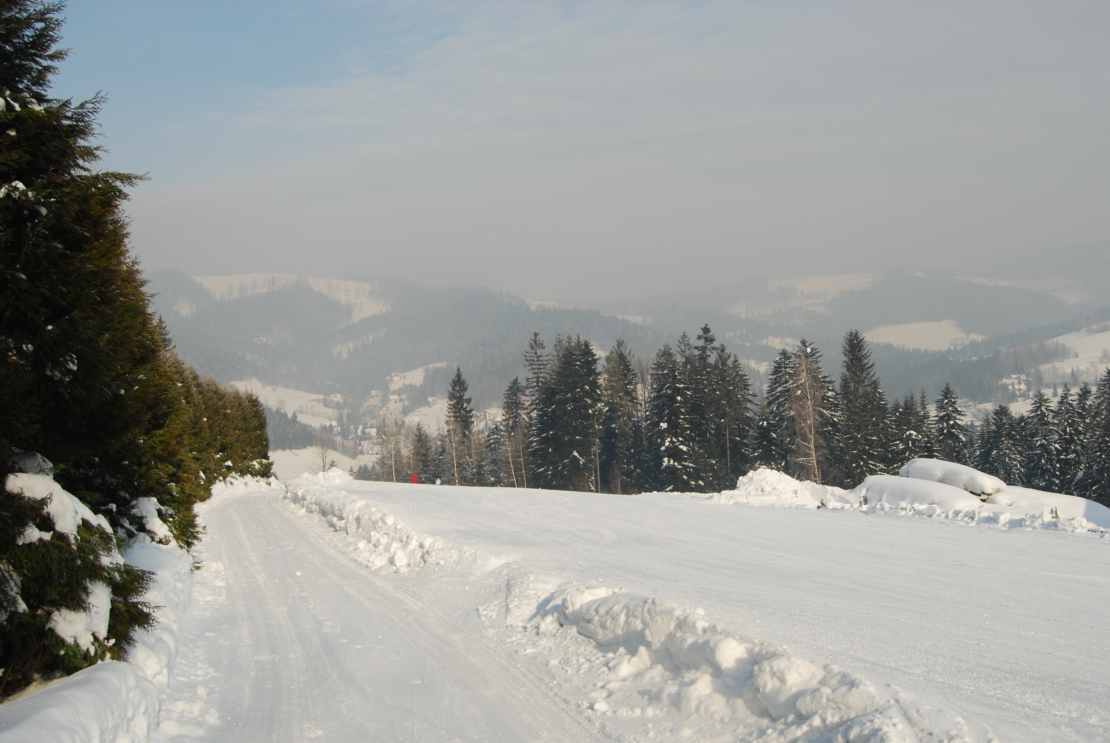 mountains, winter, snow, tree, coniferous, cold temperature