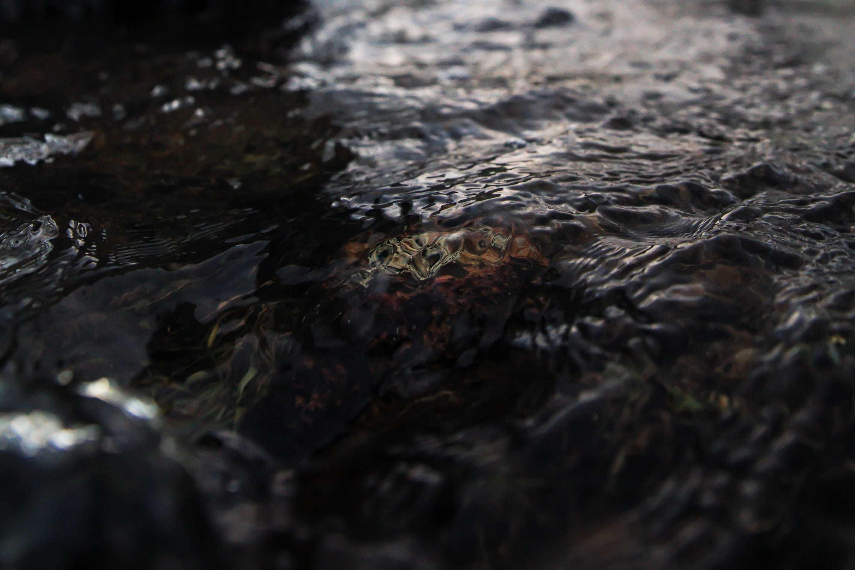 river, water, liquid, aqua, selective focus, rock, nature, solid