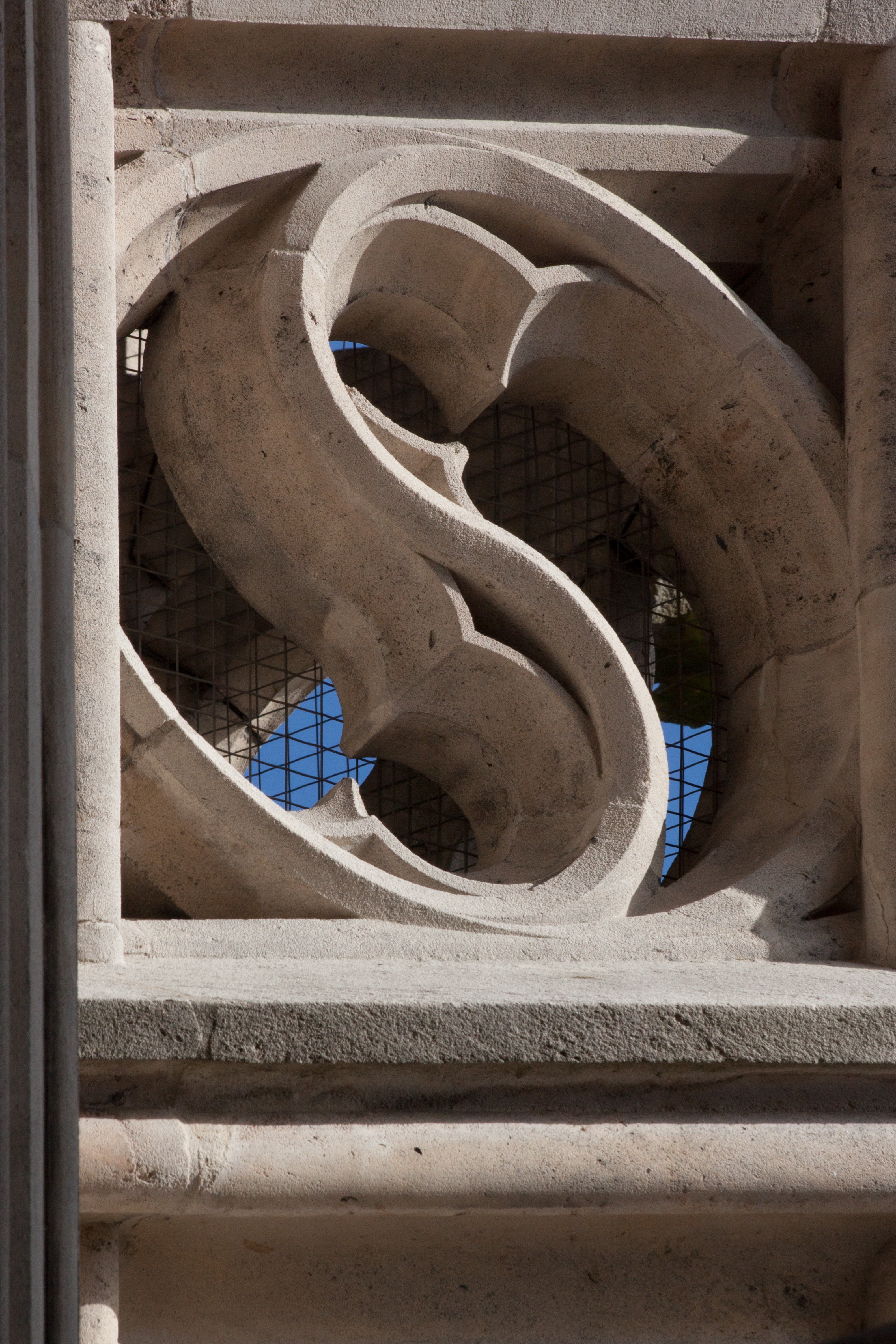 two piece fish bladder, fish bubble, district, square, gothic