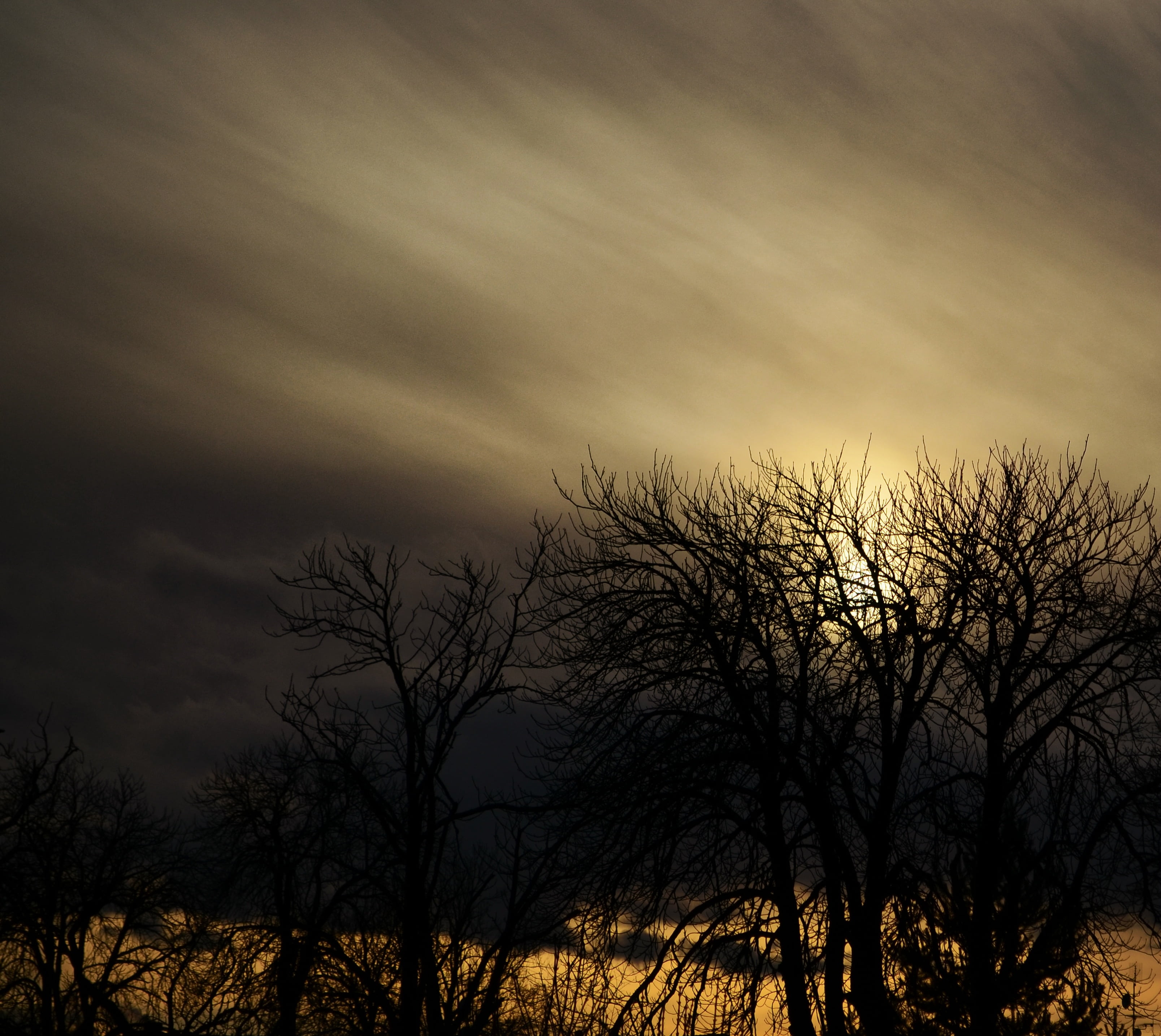 landscape, trees, clouds, sky, cloud - sky, silhouette, bare tree