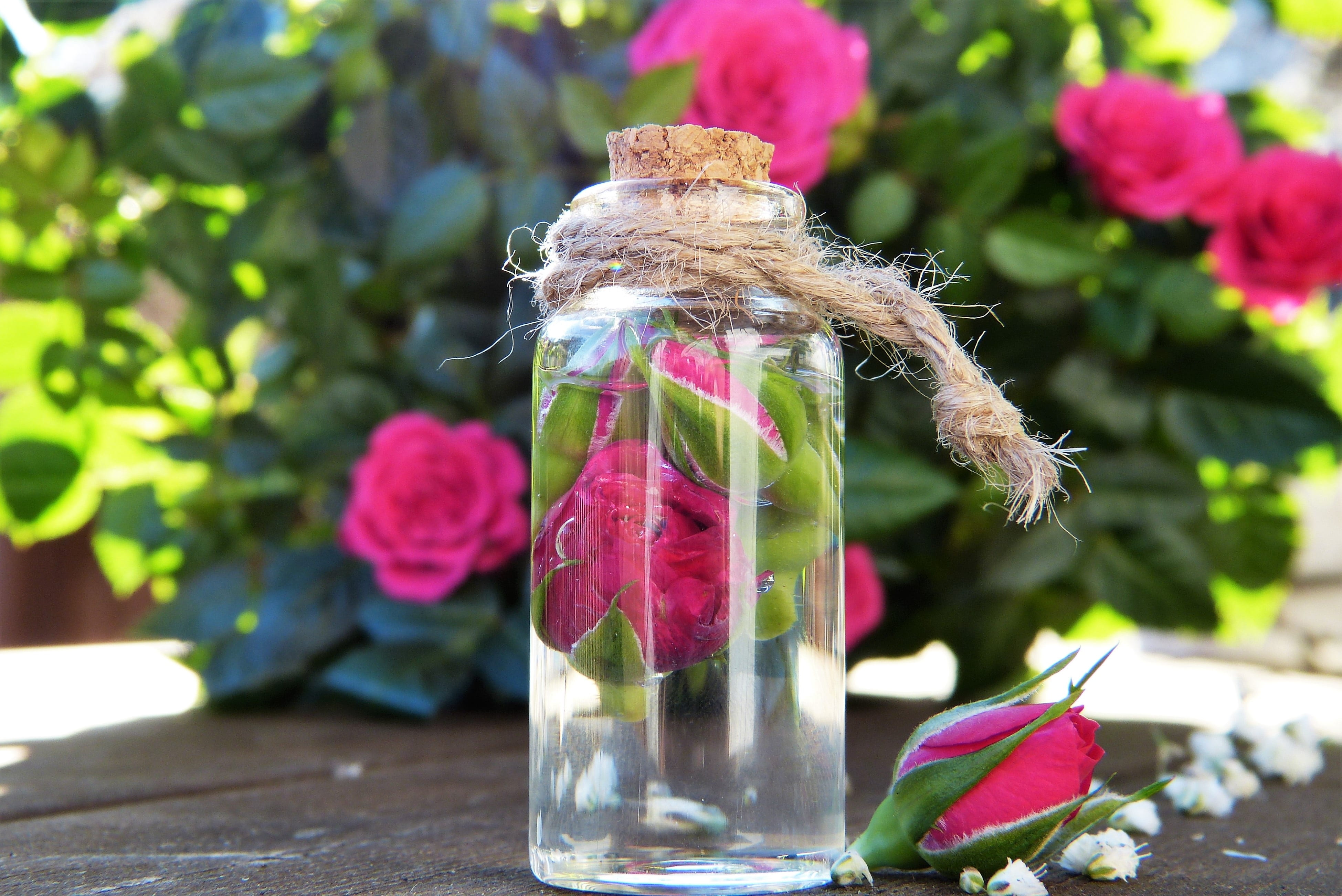 clear glass jar with pink rose, water, blossom, bloom, essential oils