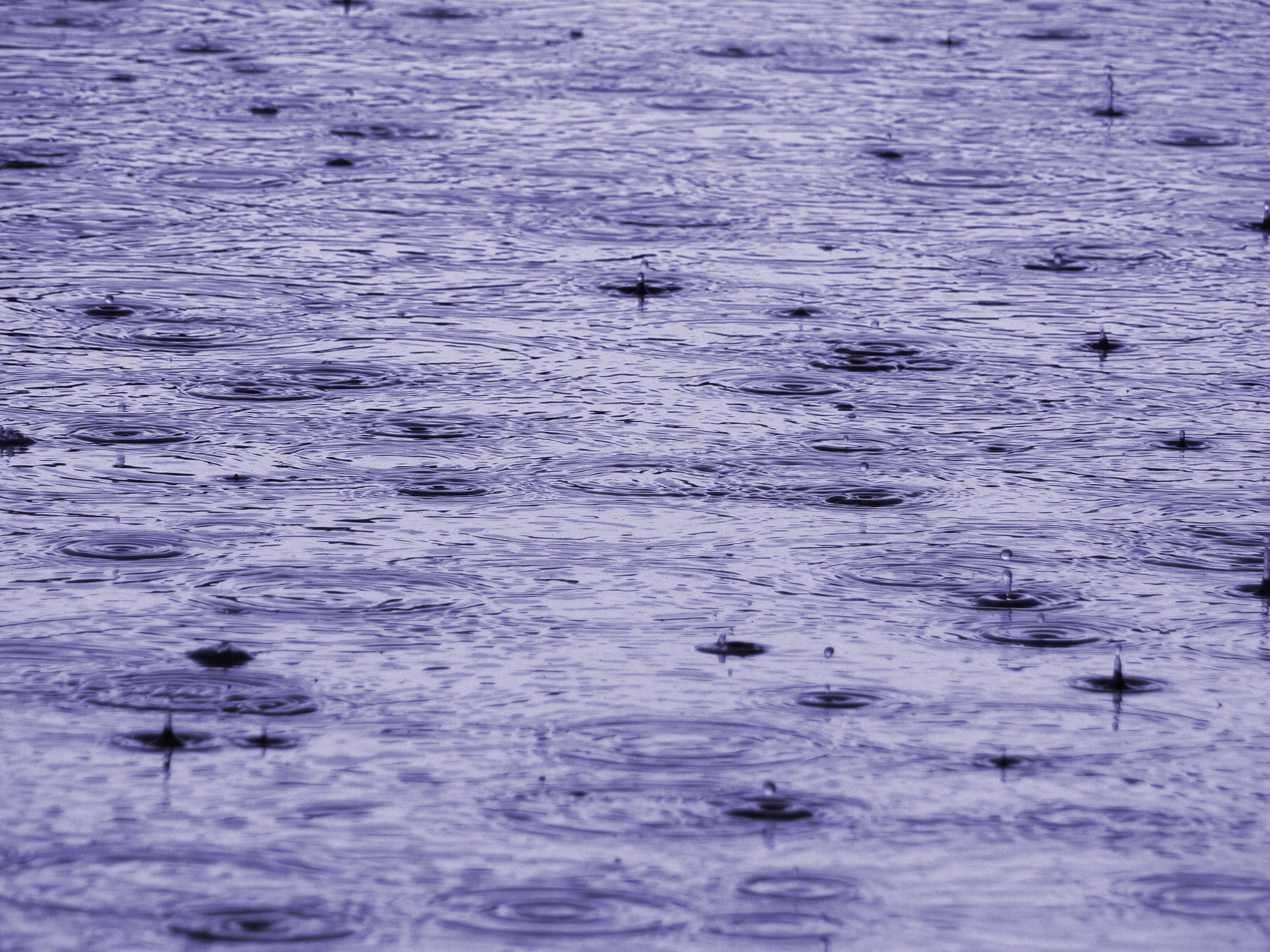 rain, background image, texture, close, drip, raindrop, spray