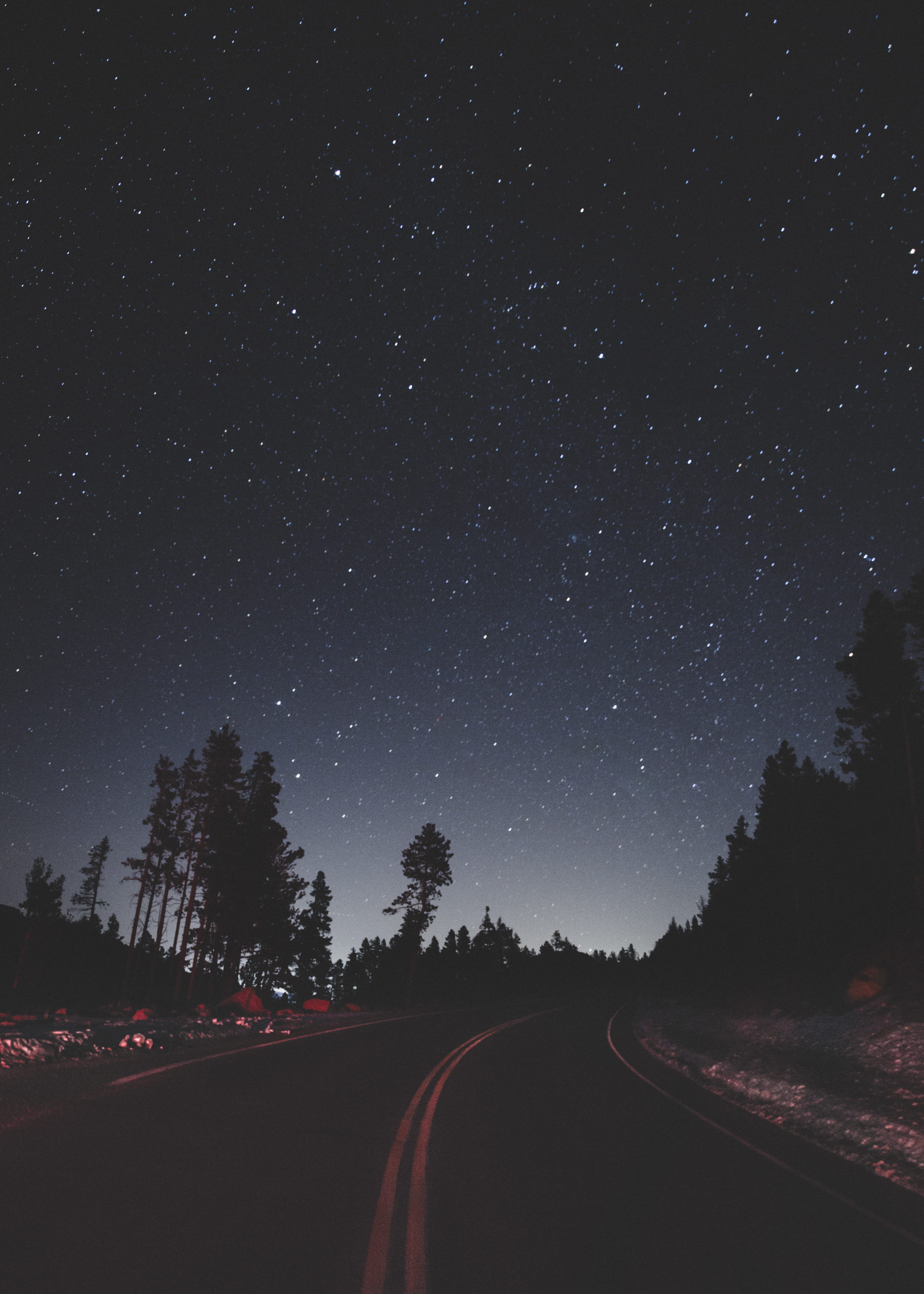 Looking Up, empty road between trees under sky with stars, night