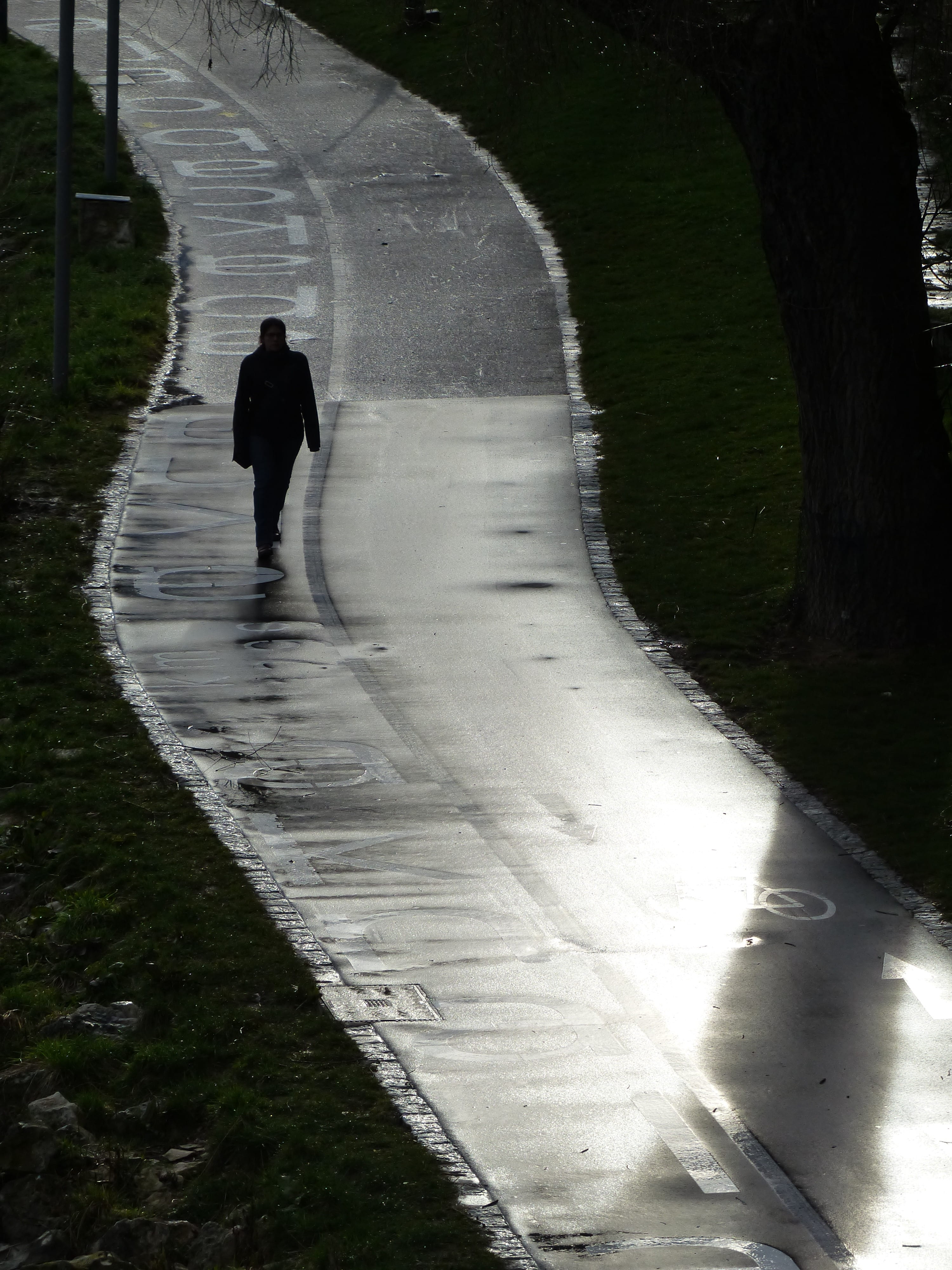 cycle path, cycle path network, streets, road network, traffic