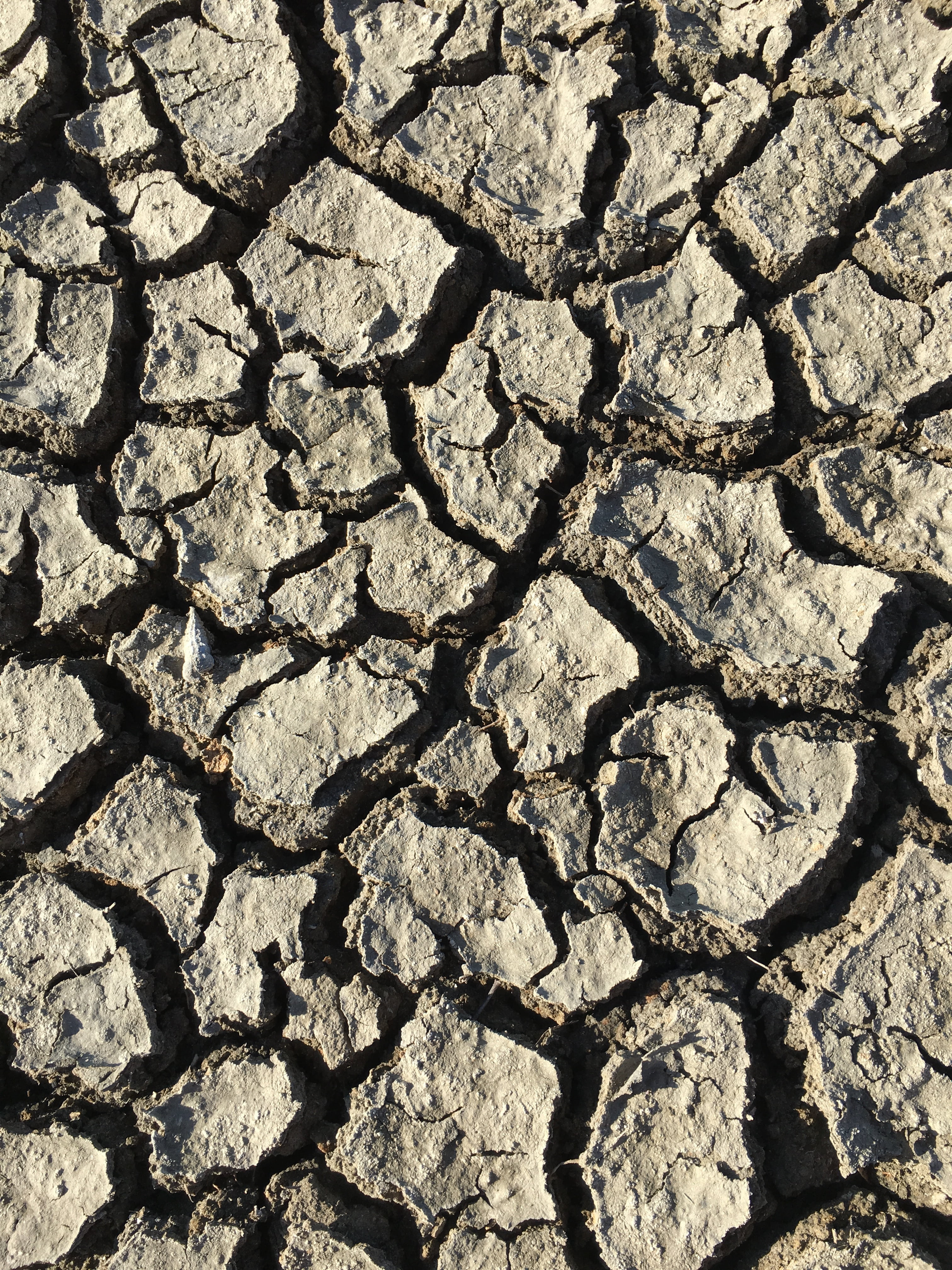 pavement, mud, desert, full frame, backgrounds, pattern, textured