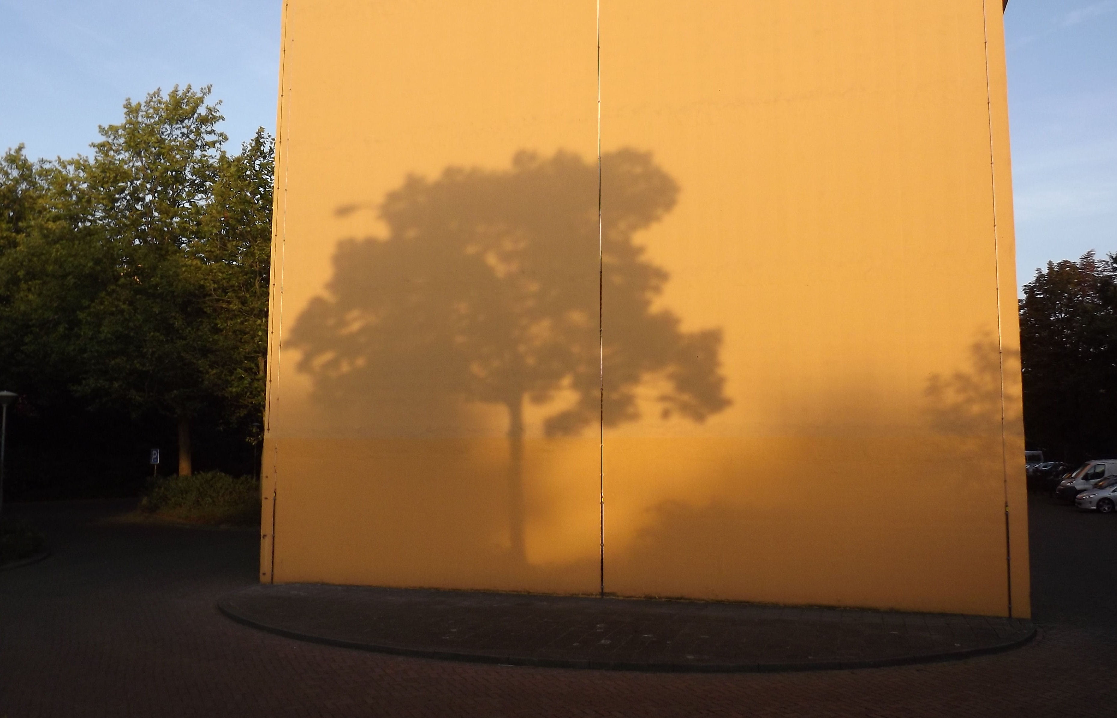 shadow, light, background, tree, evening, atmosphere, pattern