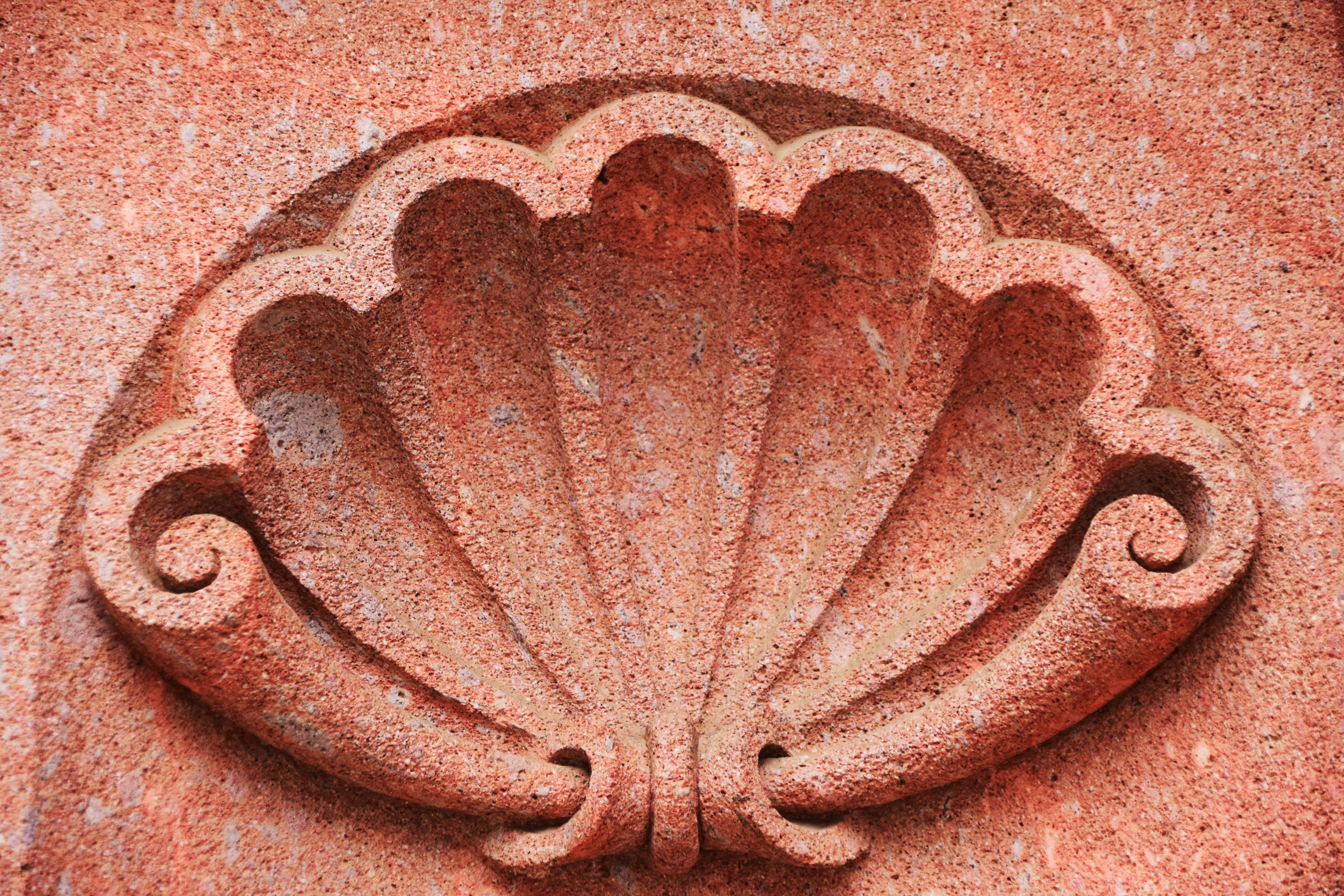 shell, facade, structure, wall, building, architecture, background
