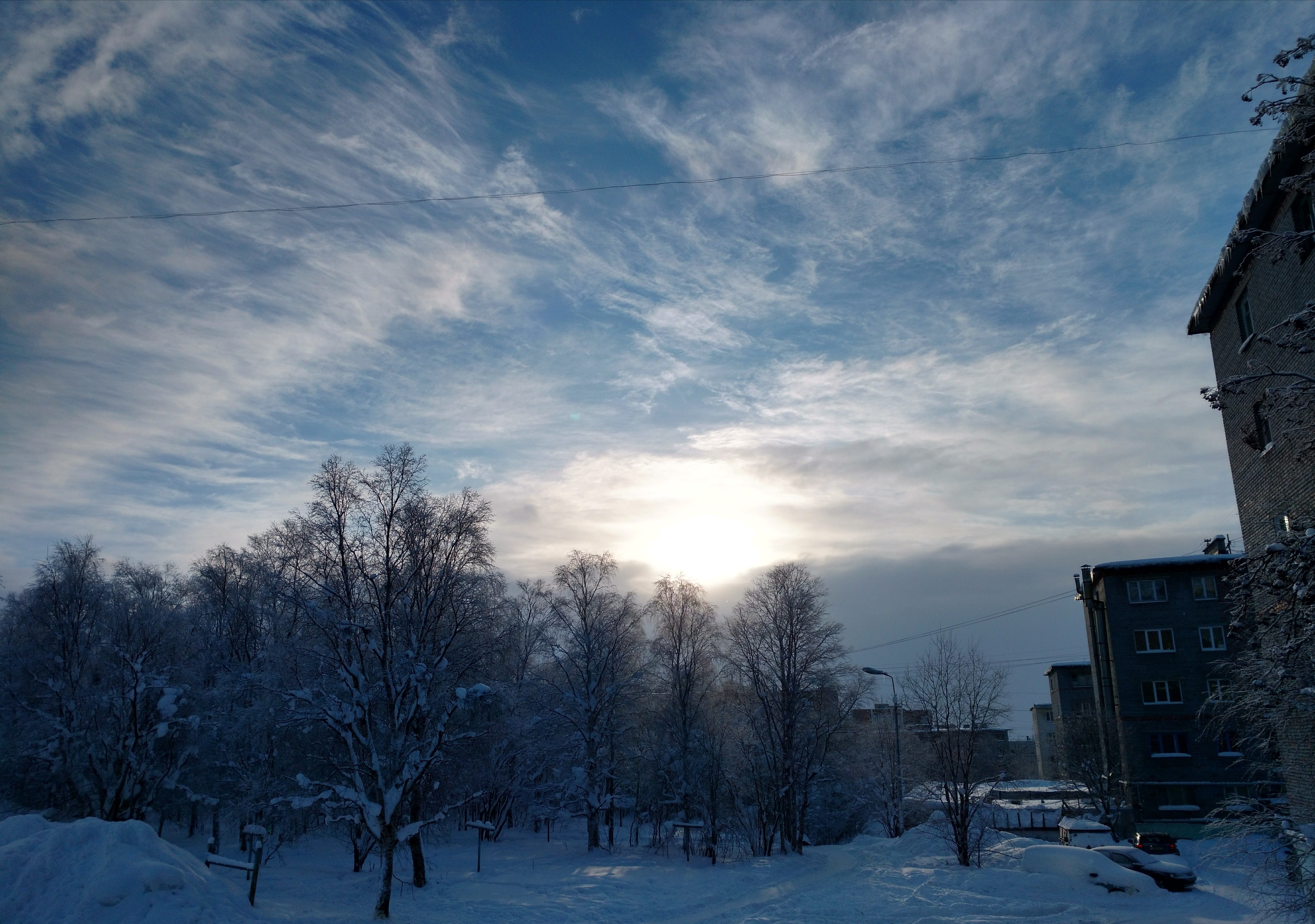 winter, sunset, trees, snow, cold temperature, building exterior