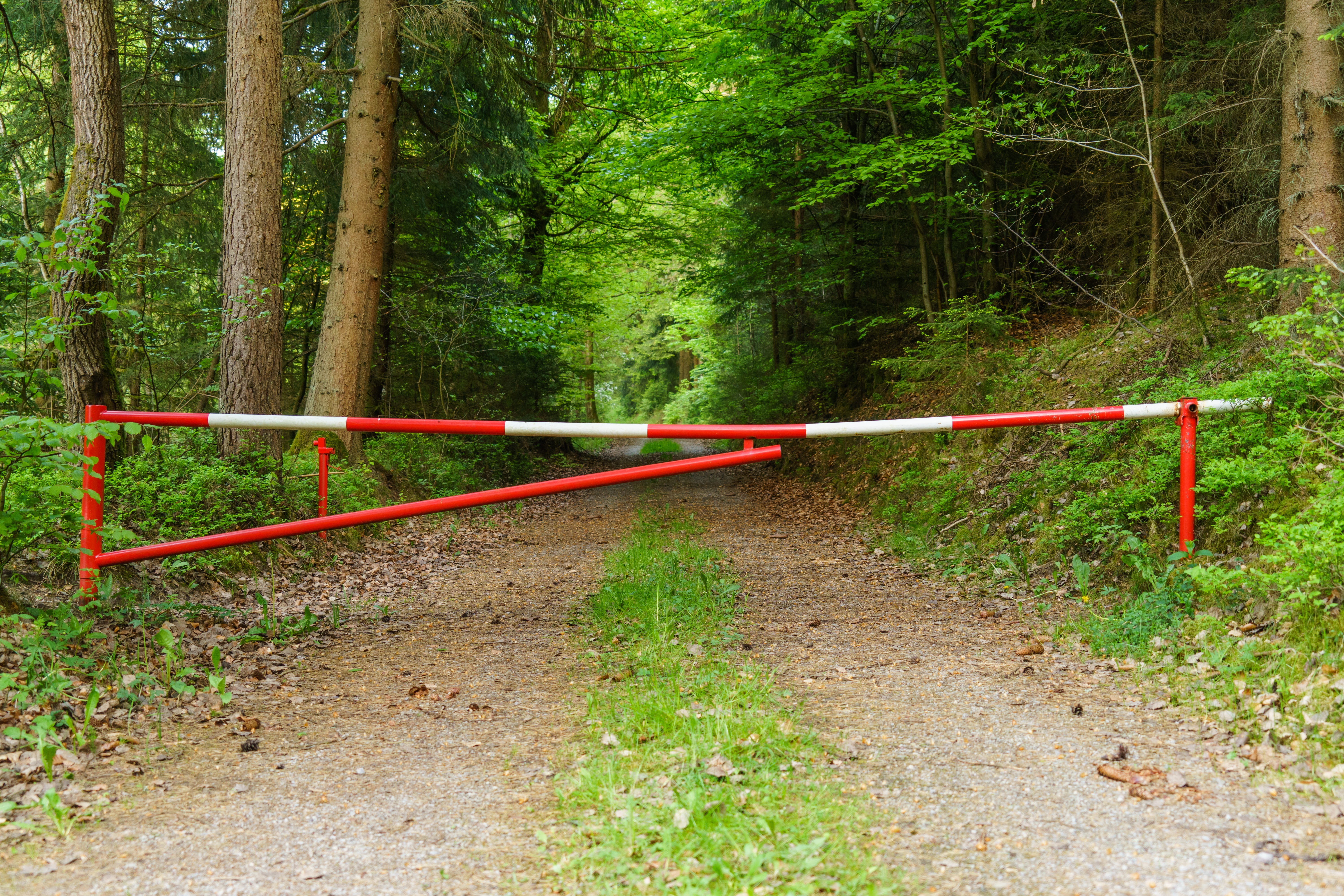 Barrier, Ban, Forest, Path, Lock, forest path, end, nature
