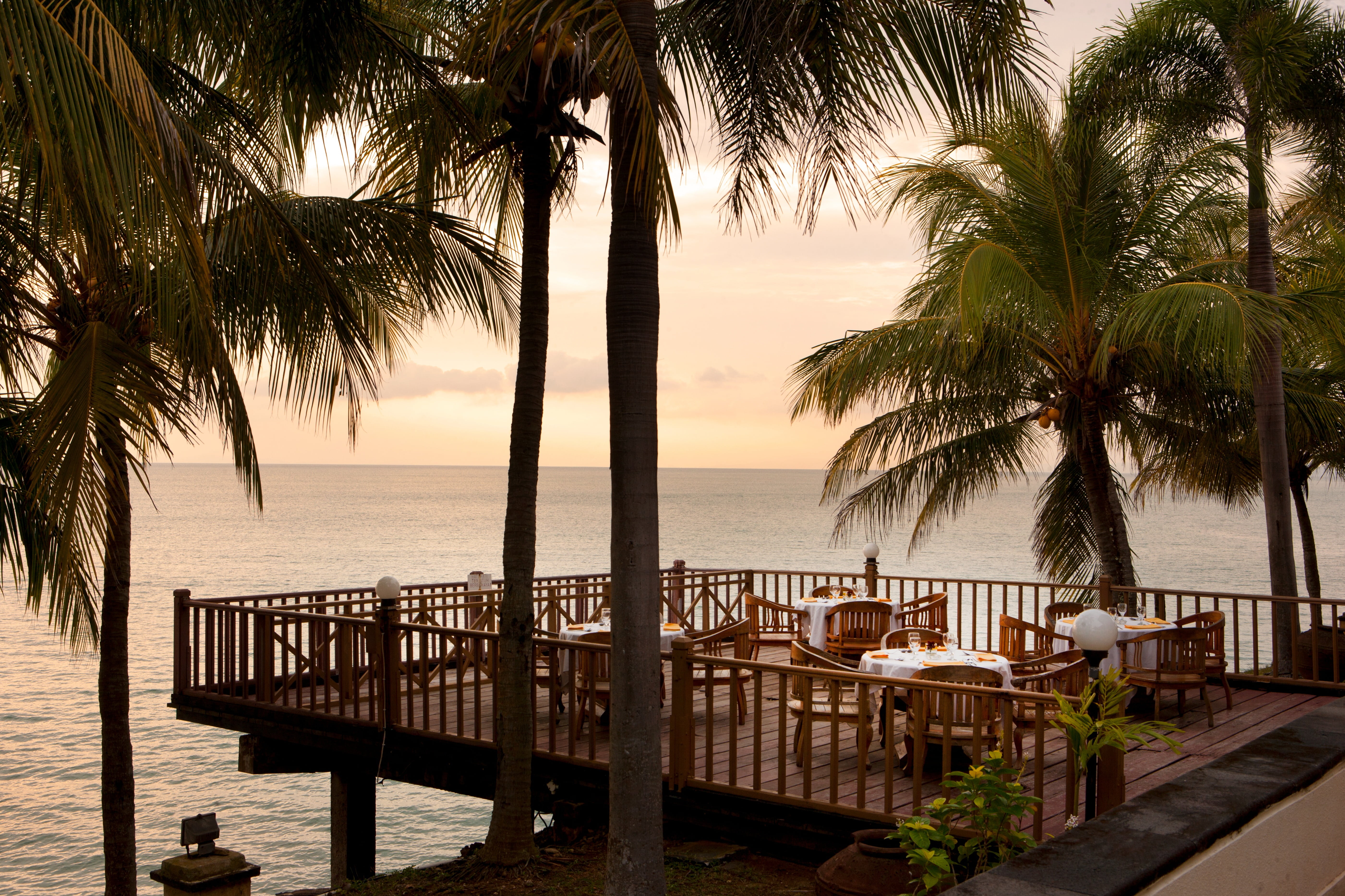 brown wooden deck near palm trees and body of water, beach, beach resort