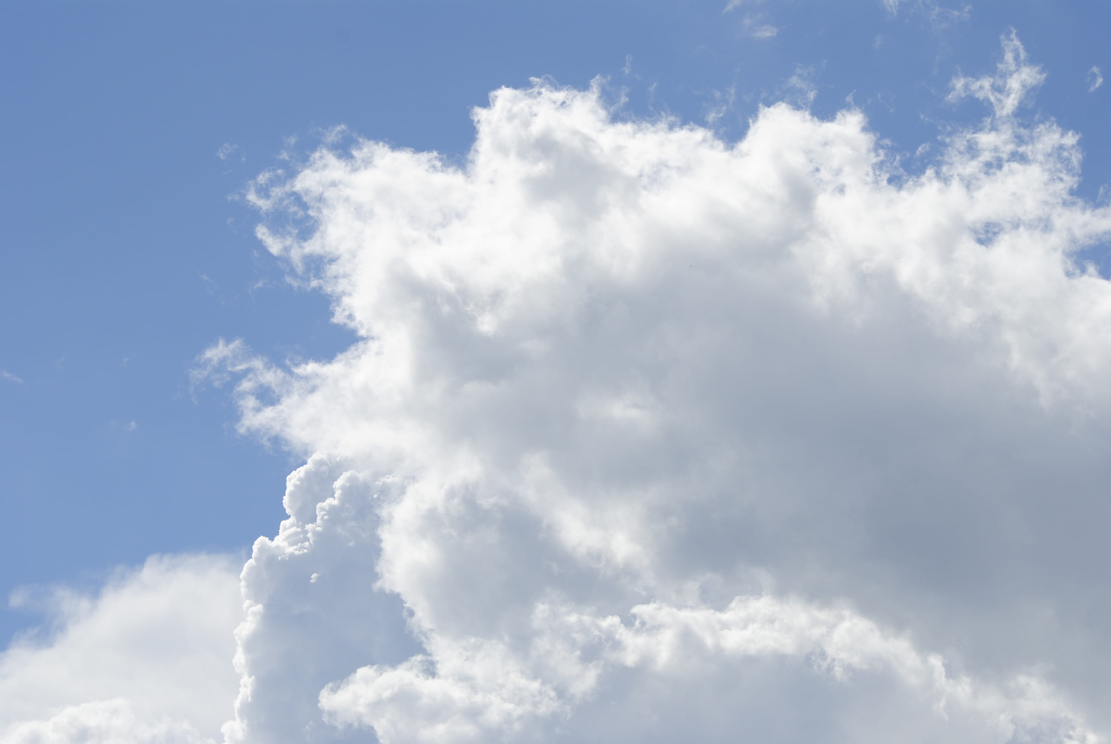 Cloud, White, blue, cloud - sky, backgrounds, cloudscape, weather