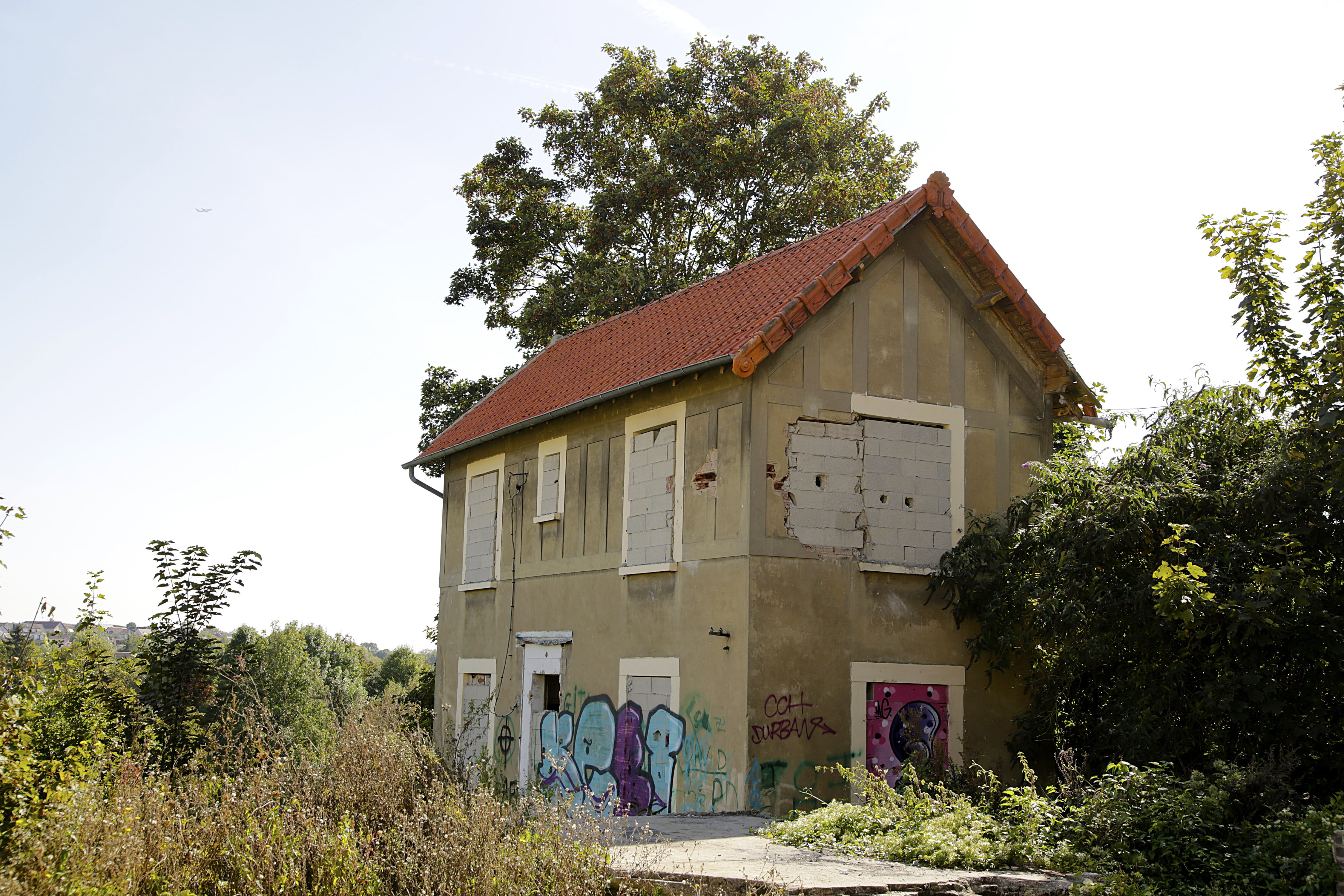 deserted, building, graffiti, ruin, boarded up, tree, built structure