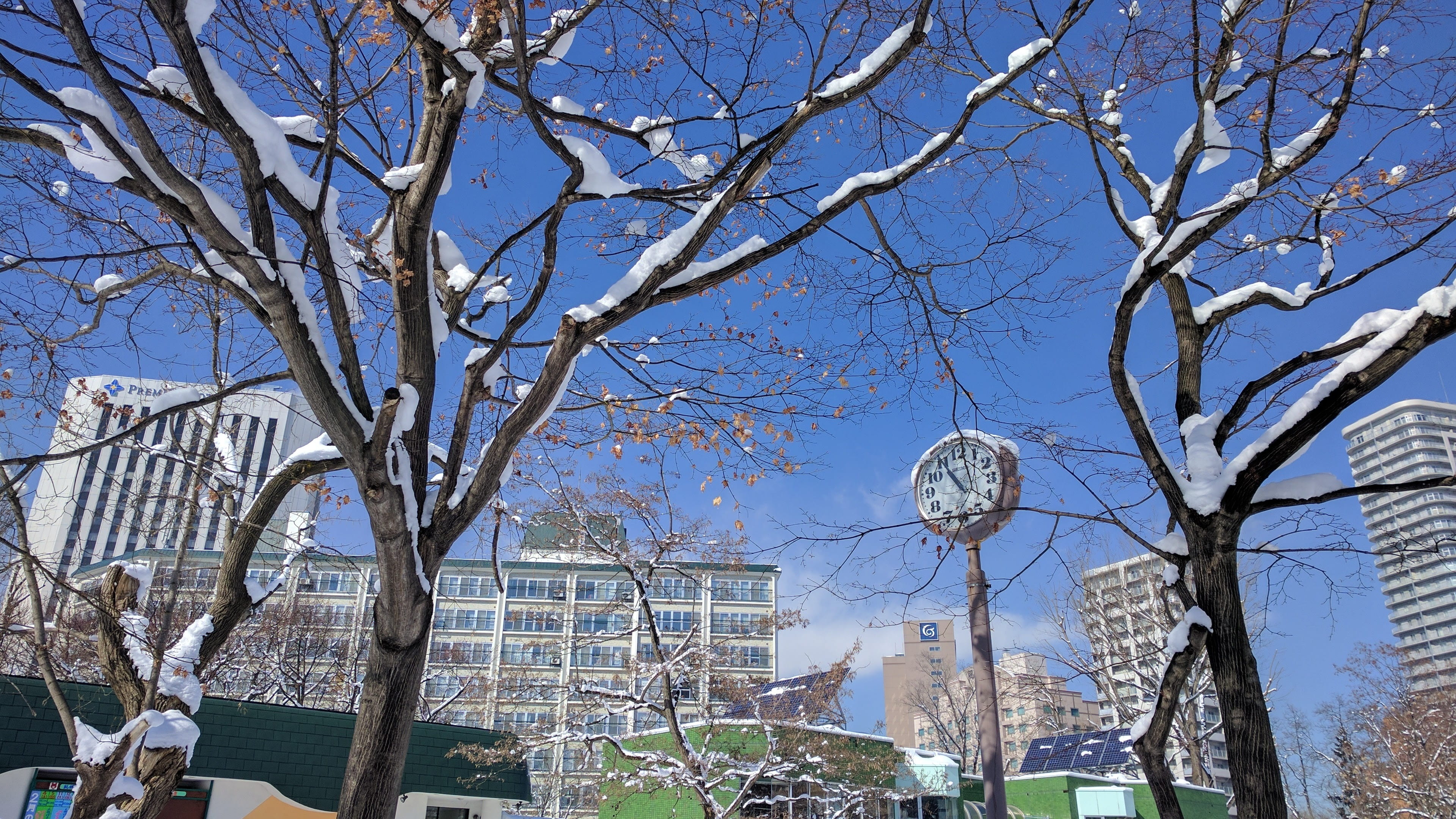 tree, snow, clock, bare tree, branch, built structure, architecture