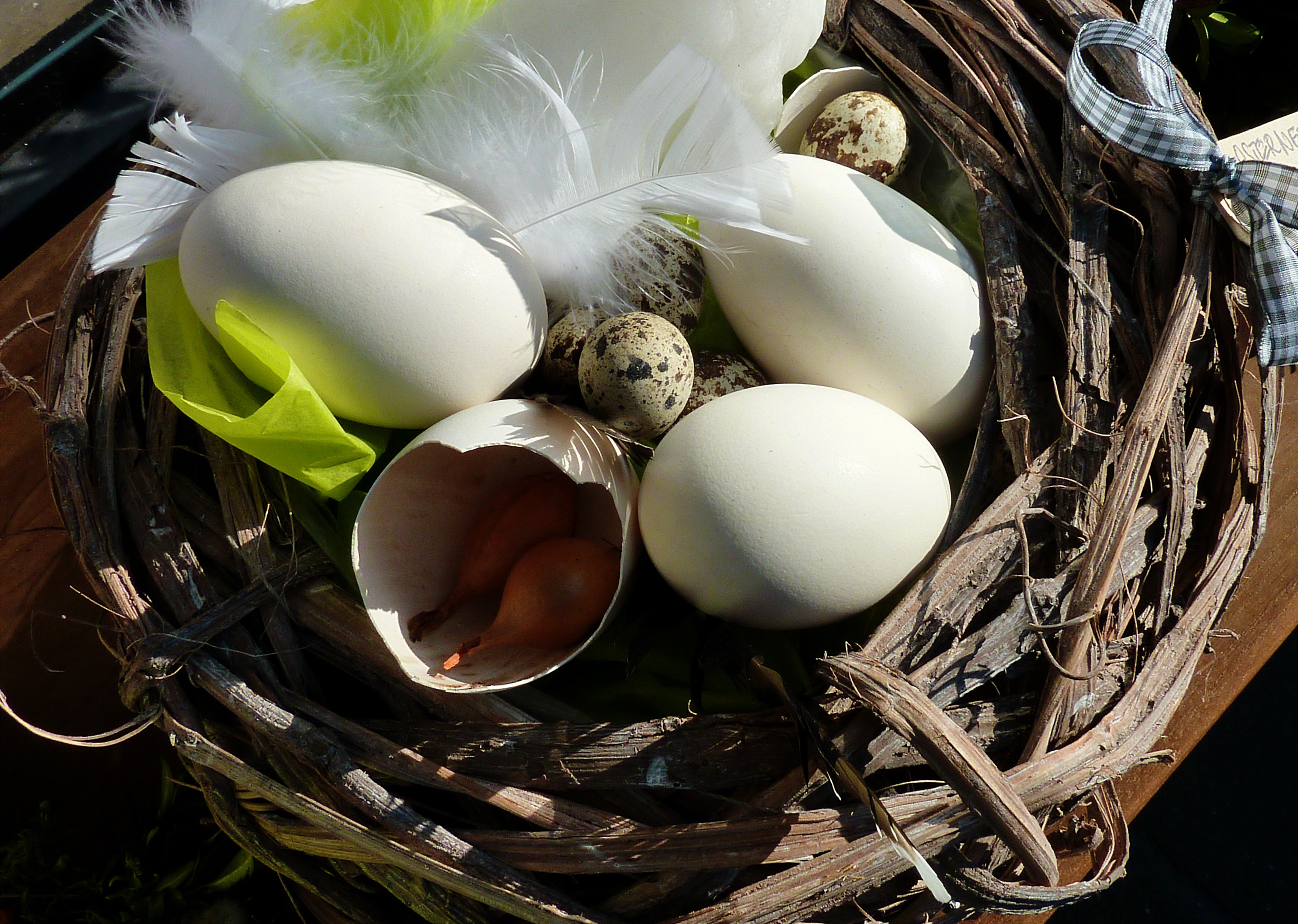 map, easter egg, easter eggs, easter bunny, osterkarte, osterkorb