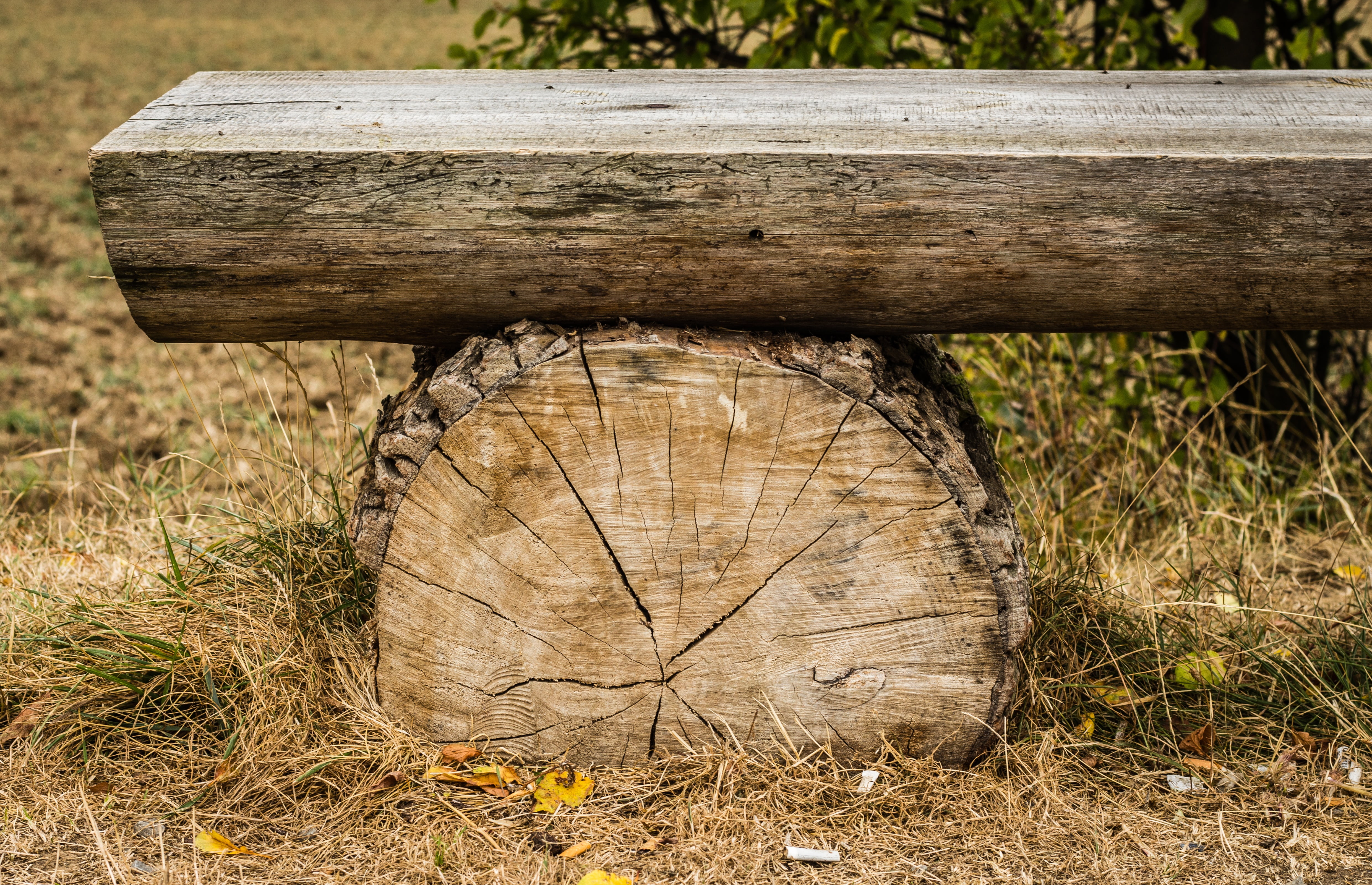 brown tree log bench, wooden, strain, session, sit, texture, autumn
