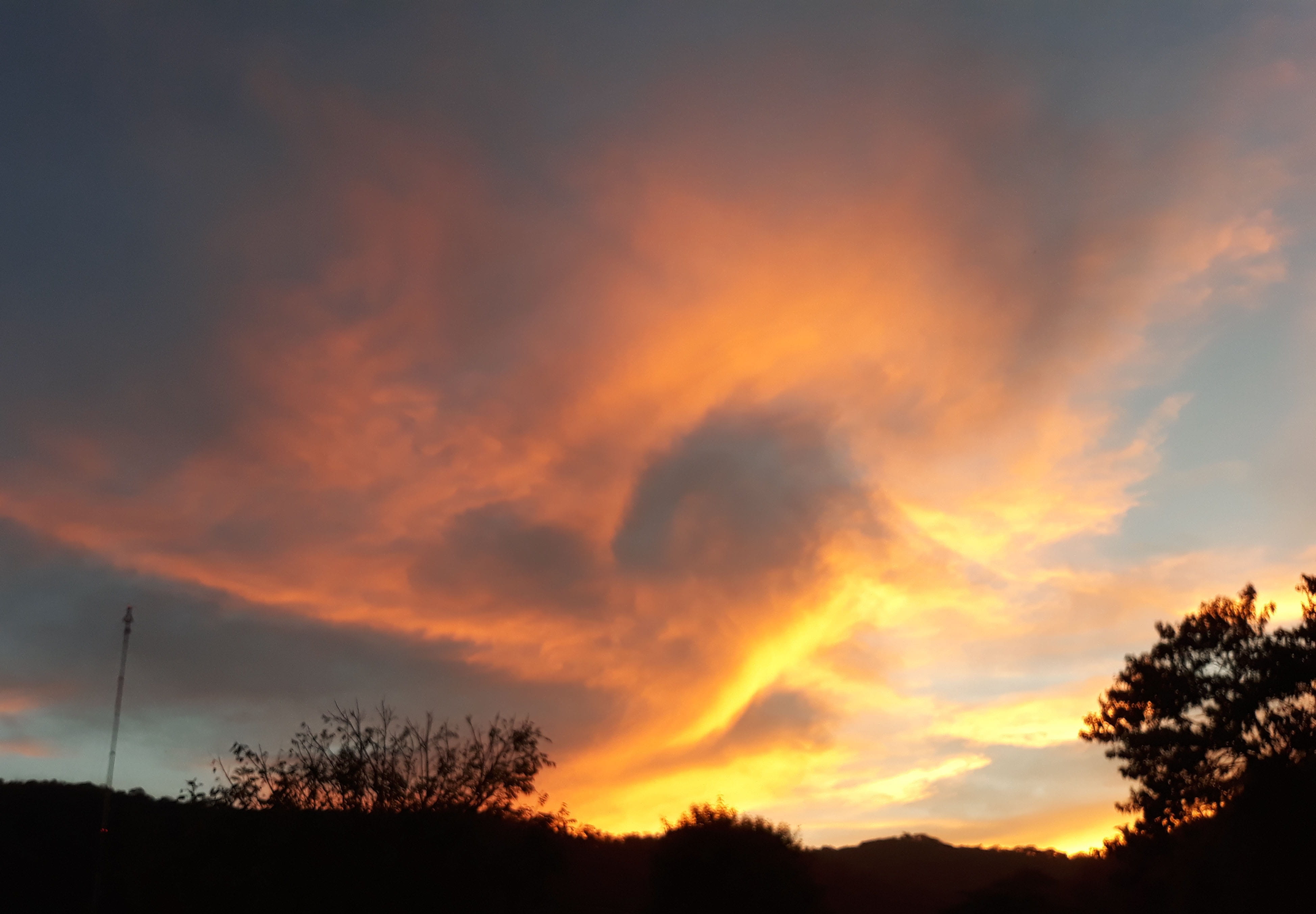 twilight, sky, clouds, cloud - sky, sunset, silhouette, tree
