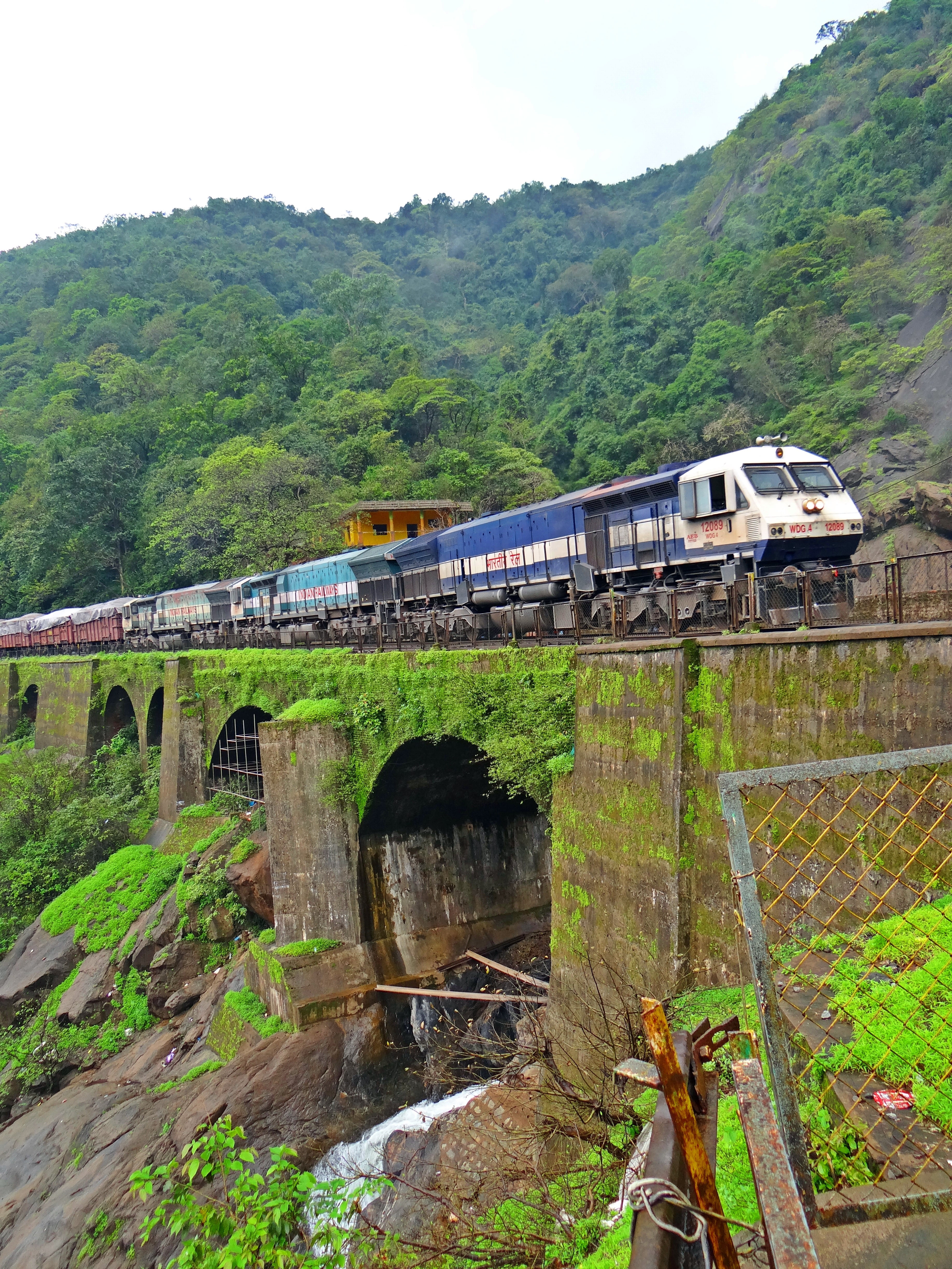 multicolored train near mountain with trees, locomotive, indian railway