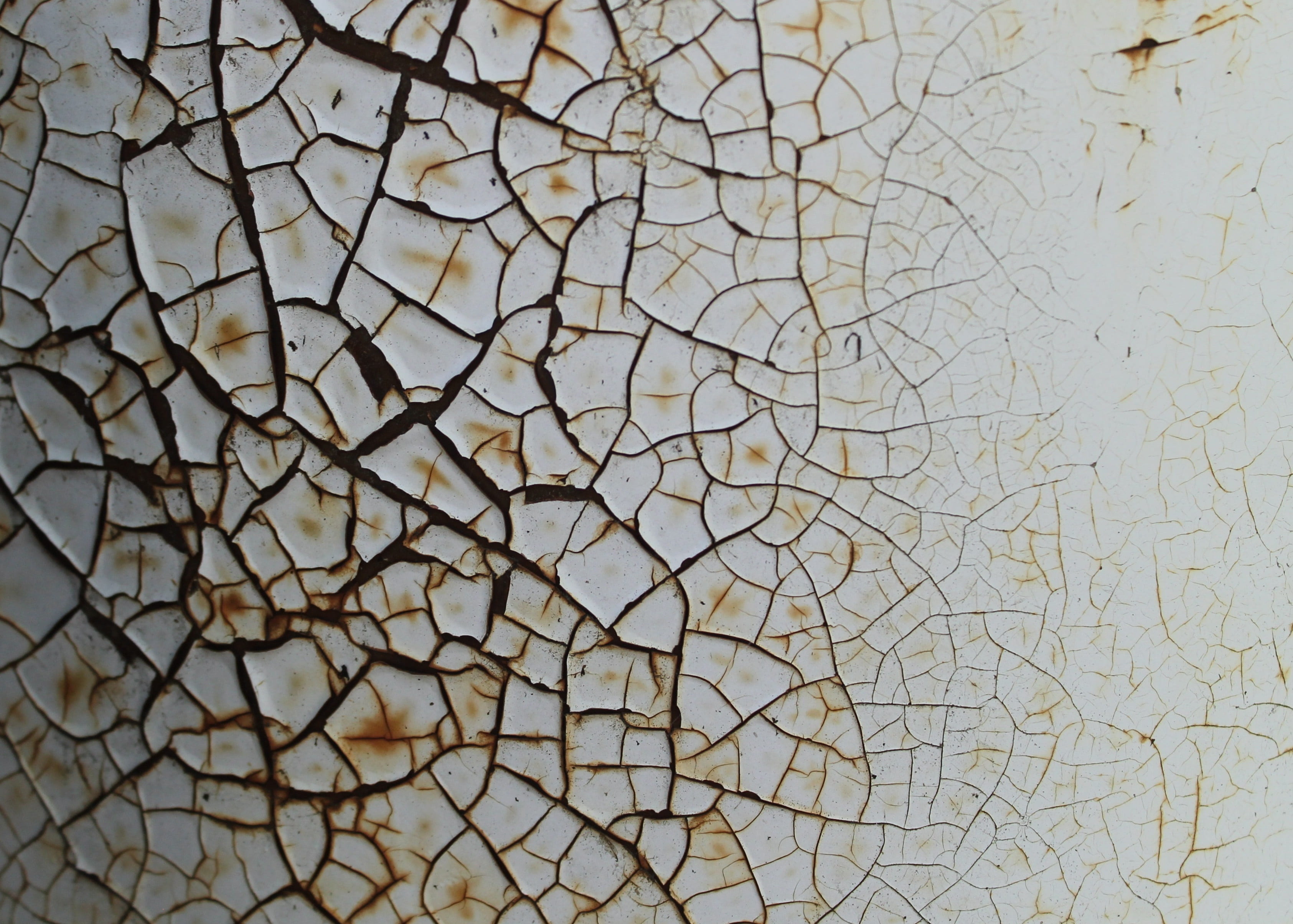 white metal surface, background, texture, rust, texture background