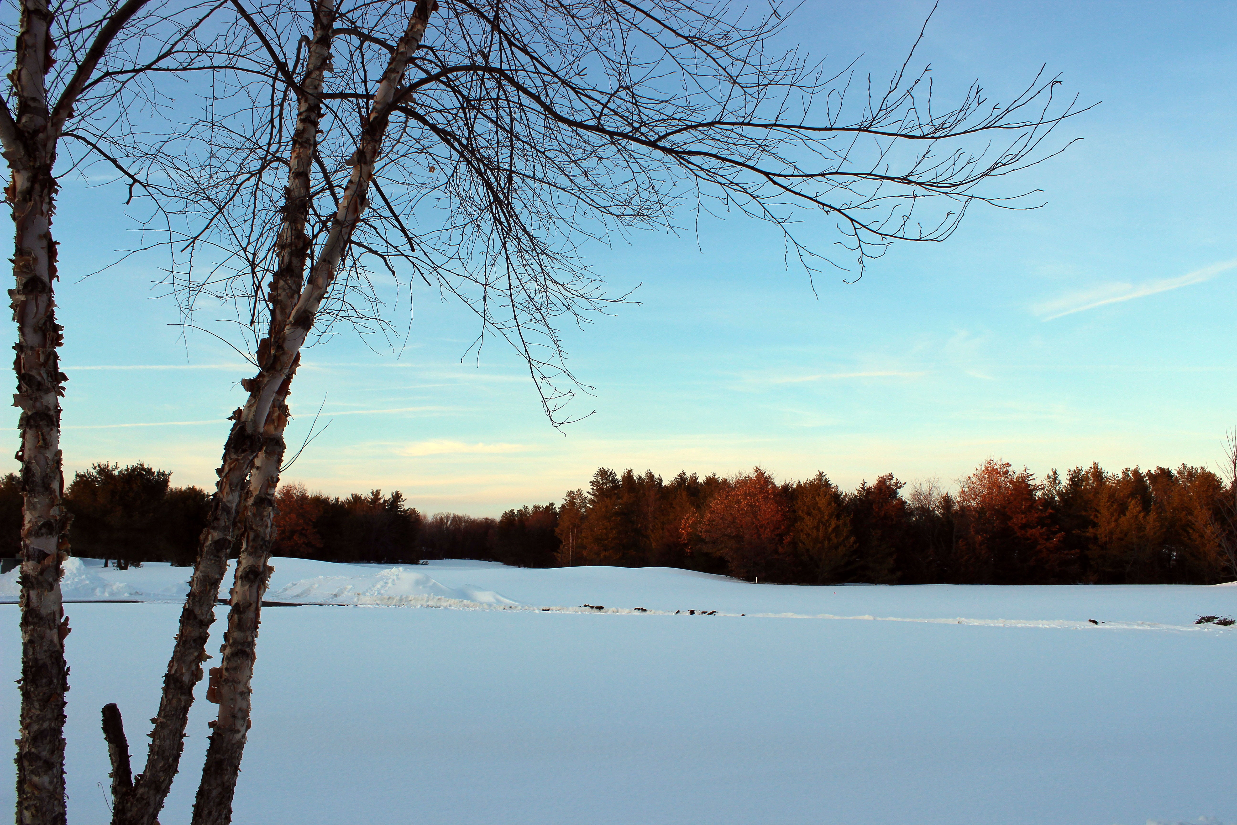 sunset, winter, blue sky, trees, snow, cold temperature, tranquility