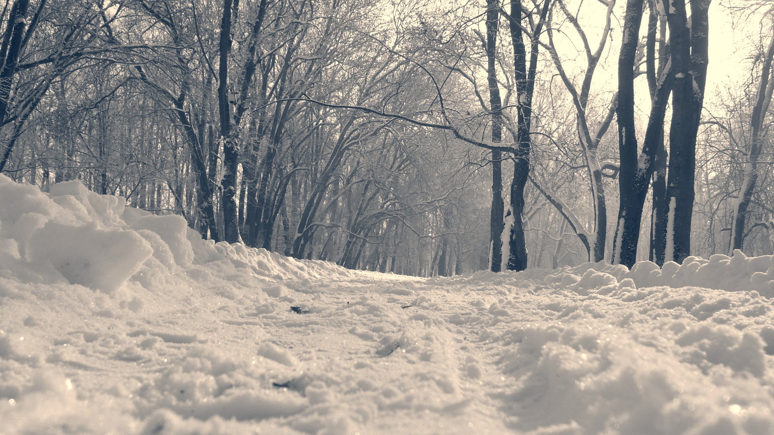 park, snow, footprints, path, slovakia, winter, cold temperature