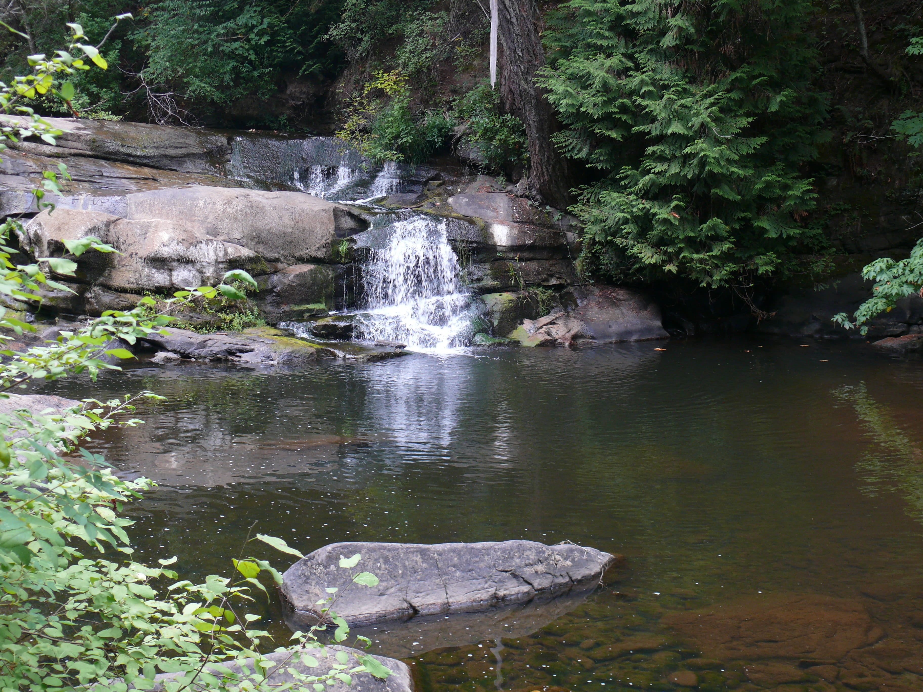 Waterfall, Pond, Stream, Tree, Tranquil, environment, outdoor