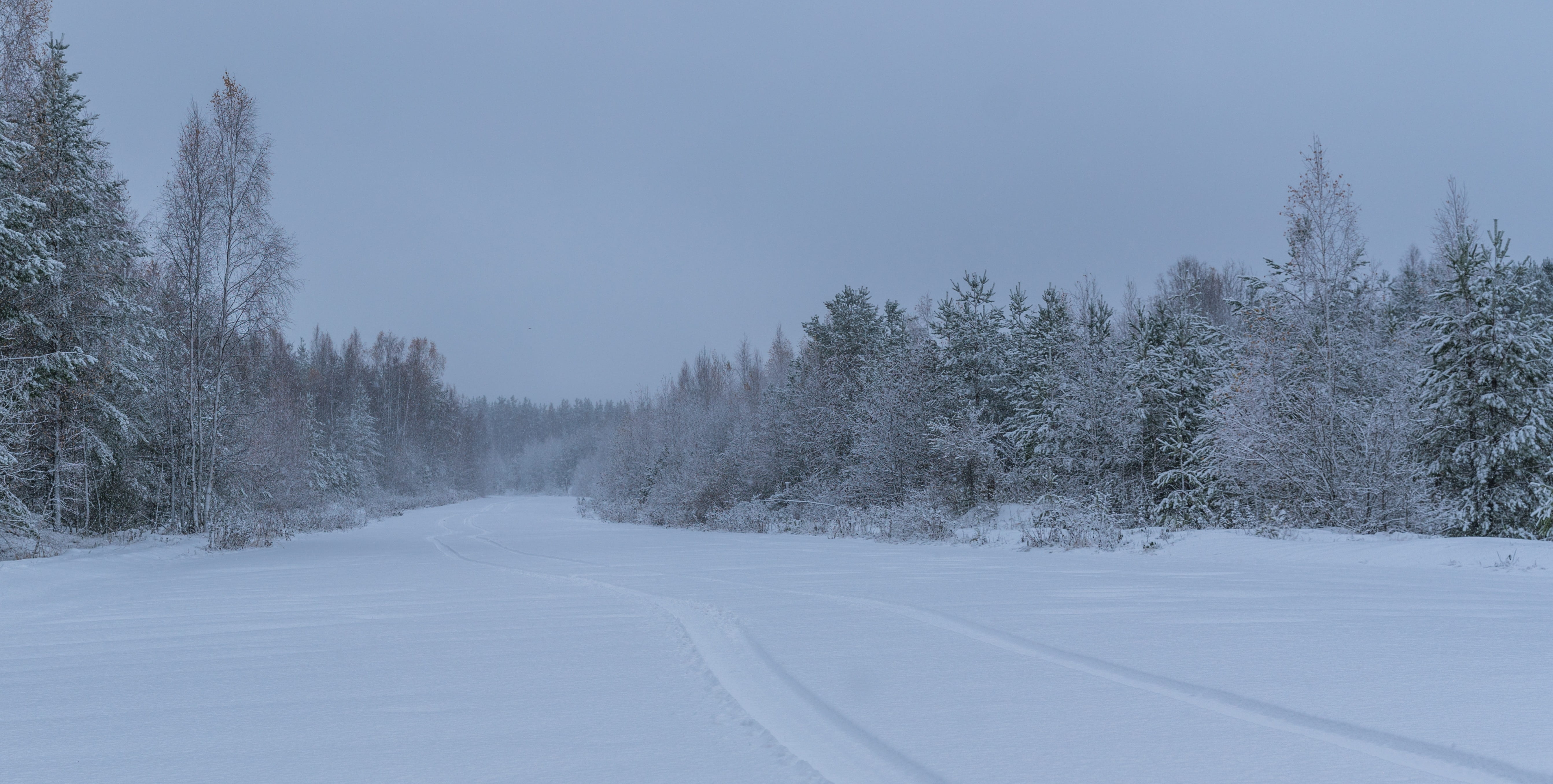 winter, snow, landscape, forest, road, cold temperature, tree