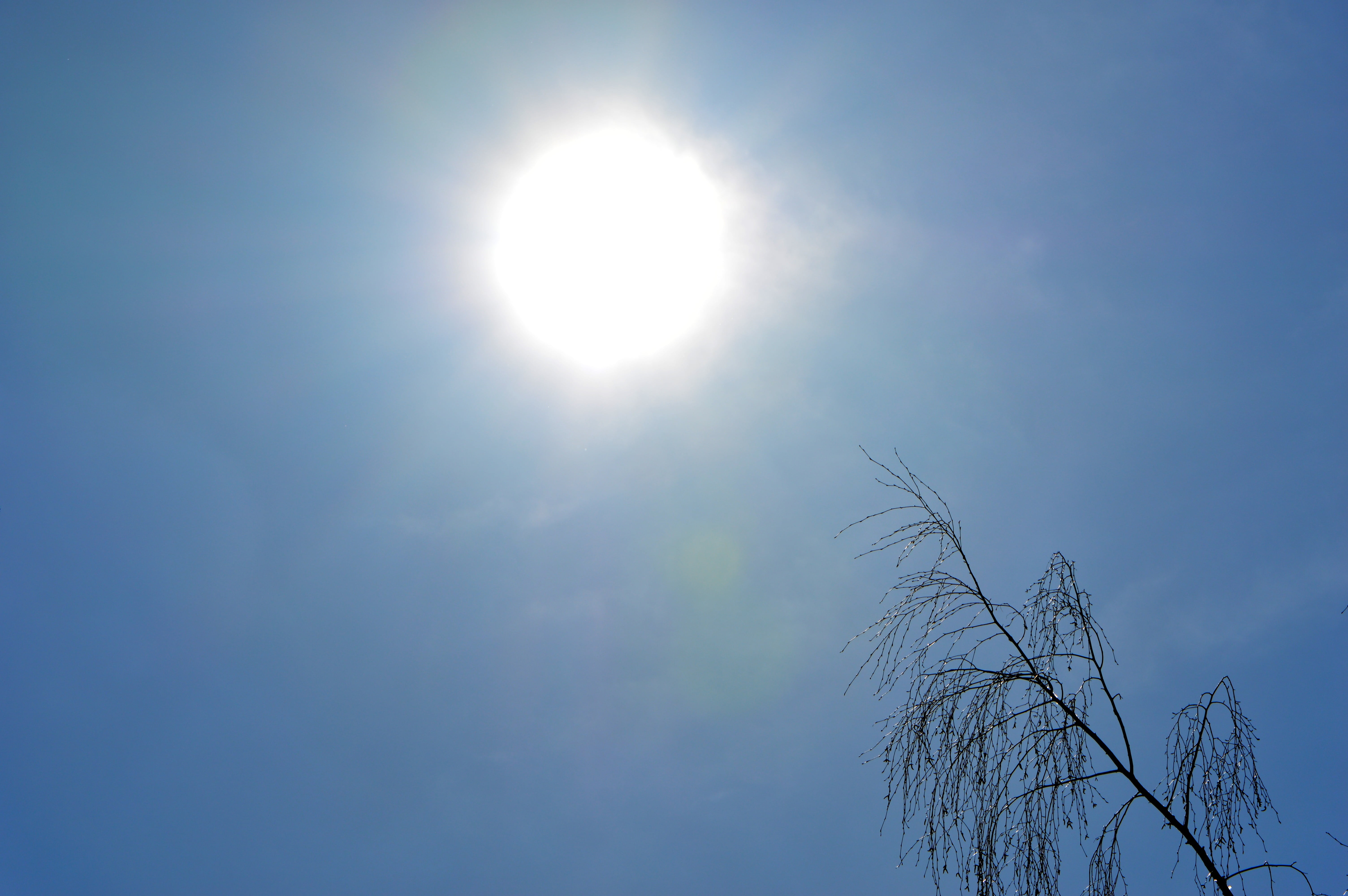 sun, sky, blue, rays, nature, tree, light, low angle view, sunlight