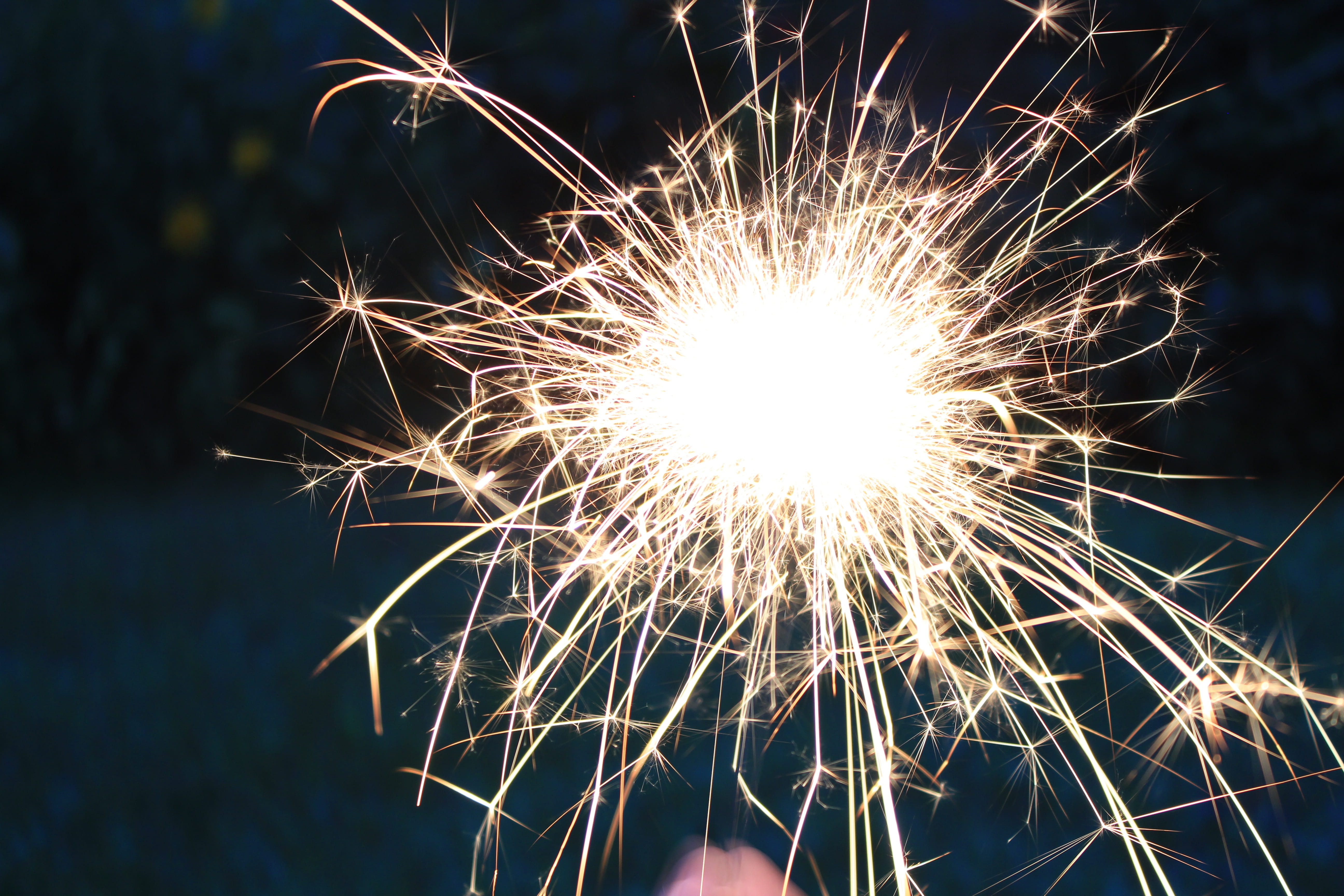 lighted firework, sparkler, dandelion, illuminated, celebration