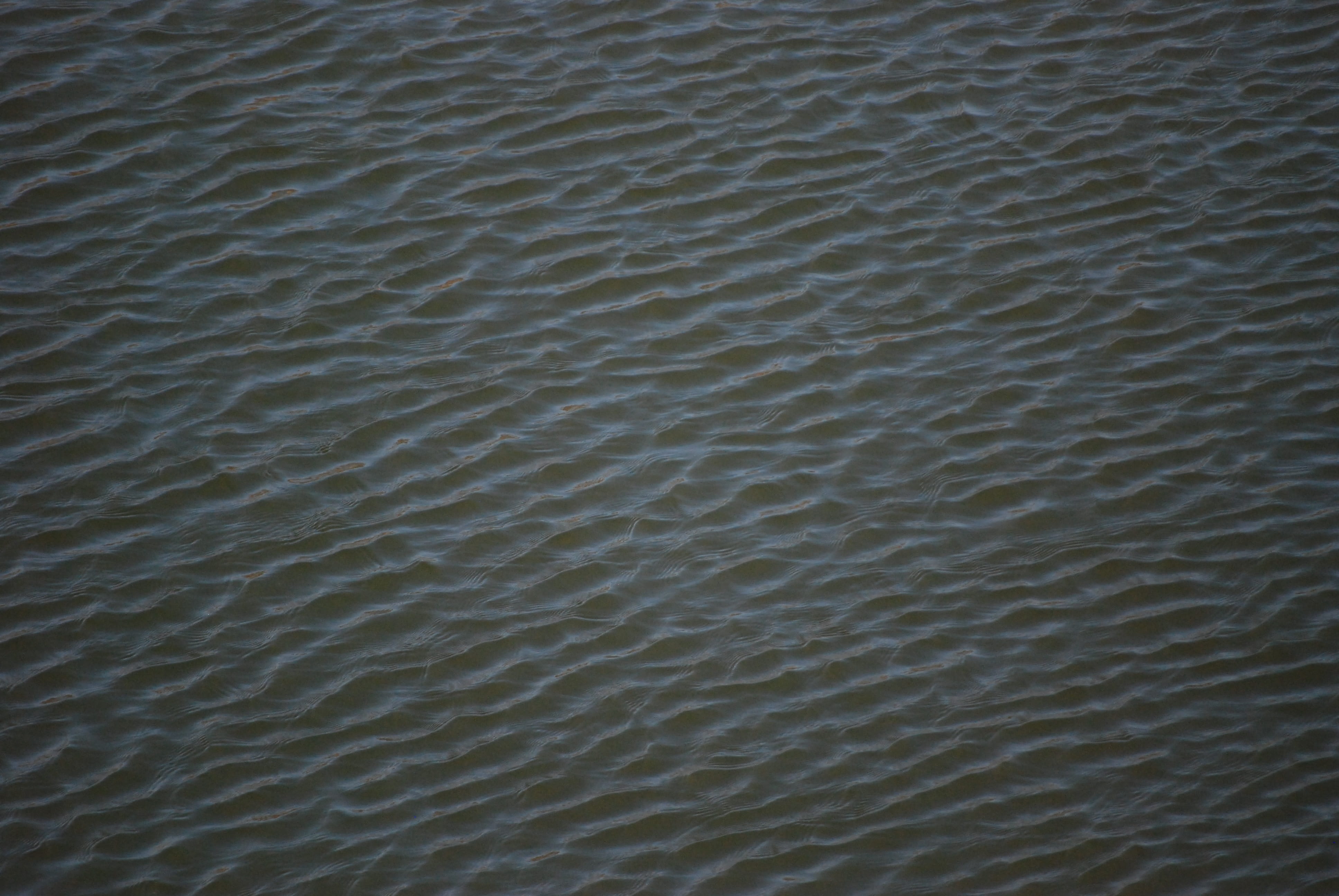 water, tile, water surface, pattern, backgrounds, full frame