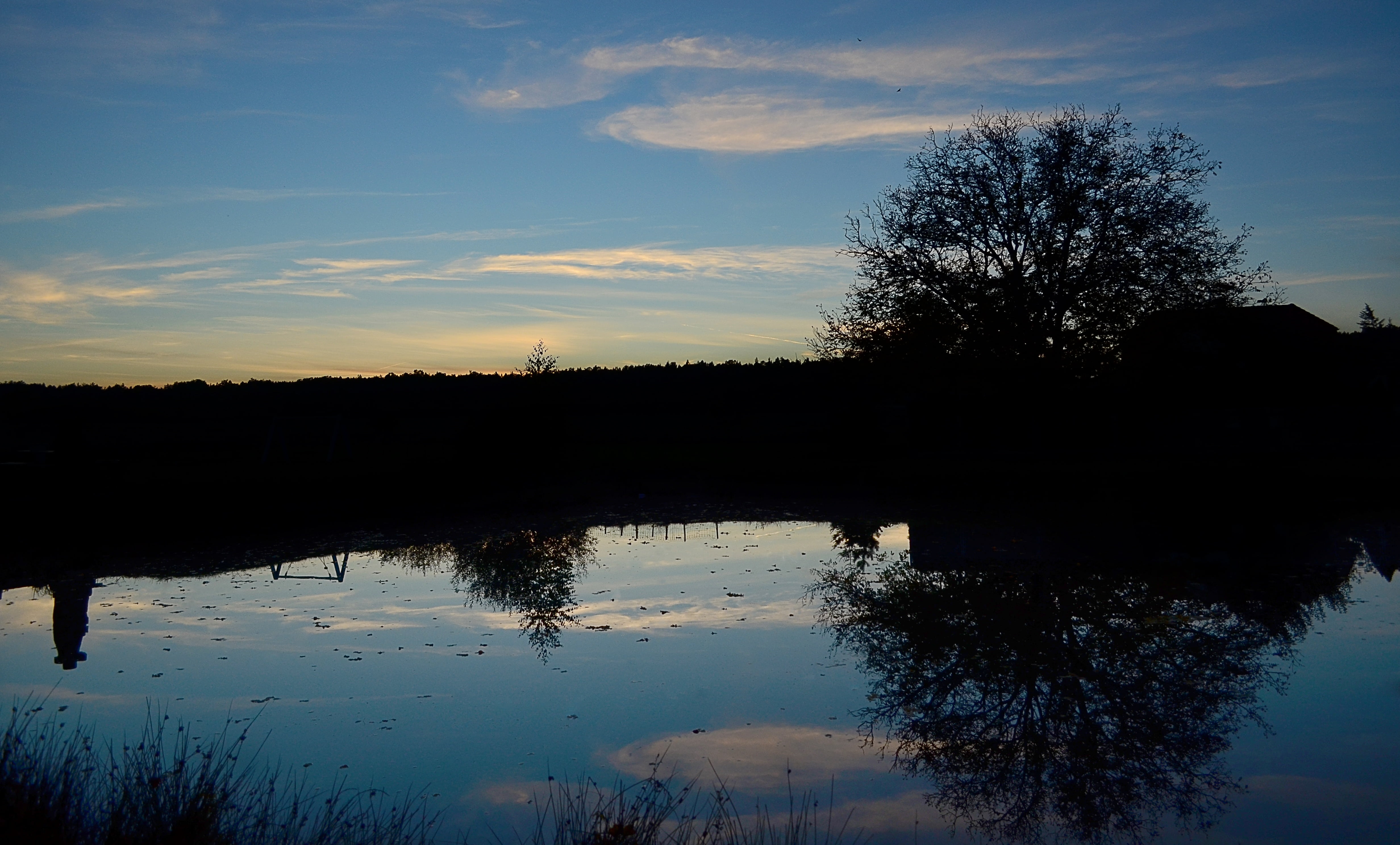 nature, sky, reflection, surface, pond, trees, clouds, water