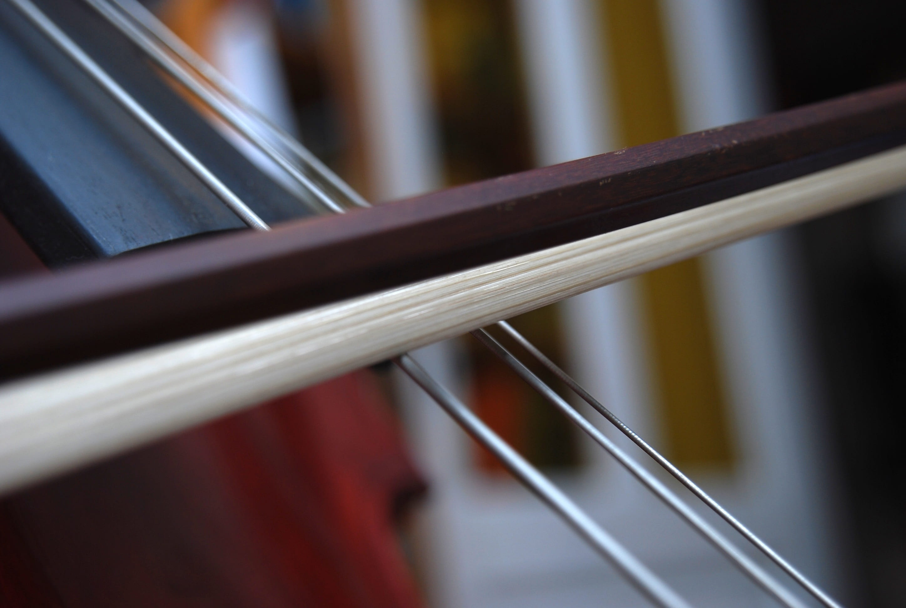 cello, strings, classical music, bow, close-up, selective focus
